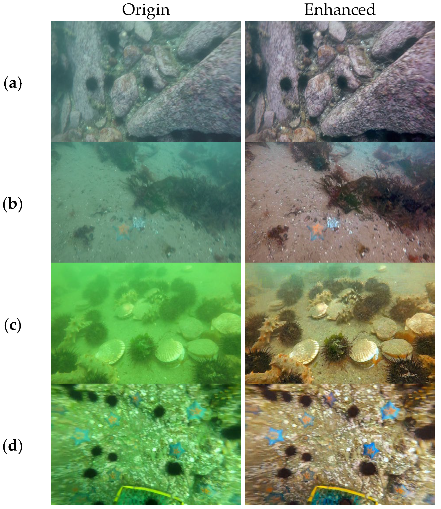 Sustainability 18 06659 g011