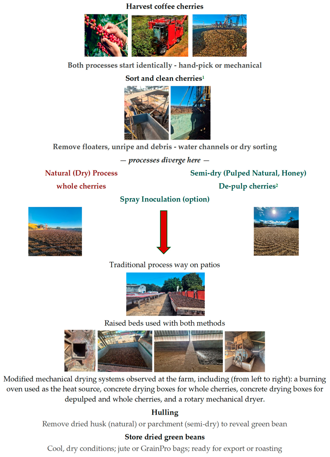 Sustainability 18 08563 g001