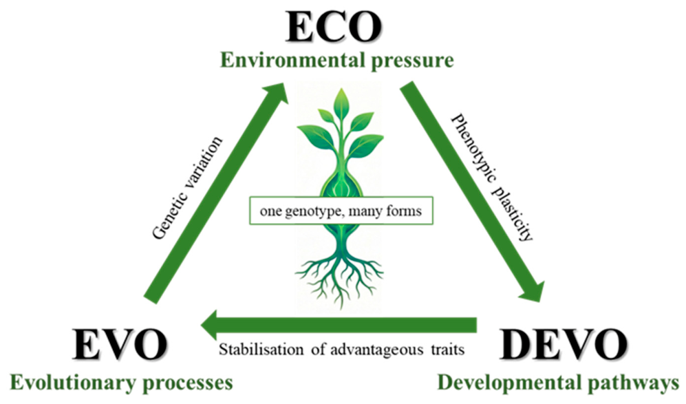 Sustainability 18 08863 g001 Sustainability 18 08863 g001