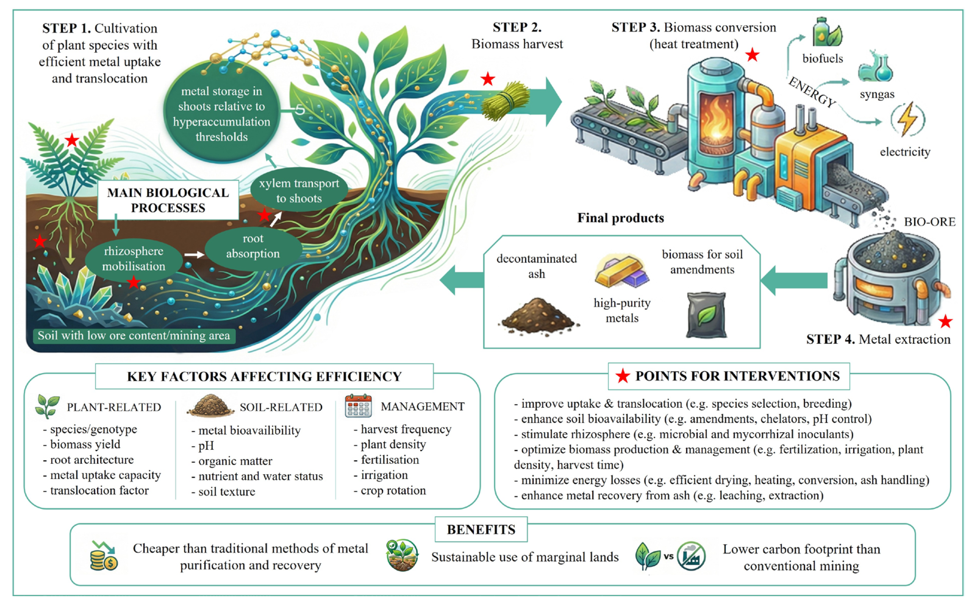 Sustainability 18 08863 g002 Sustainability 18 08863 g002