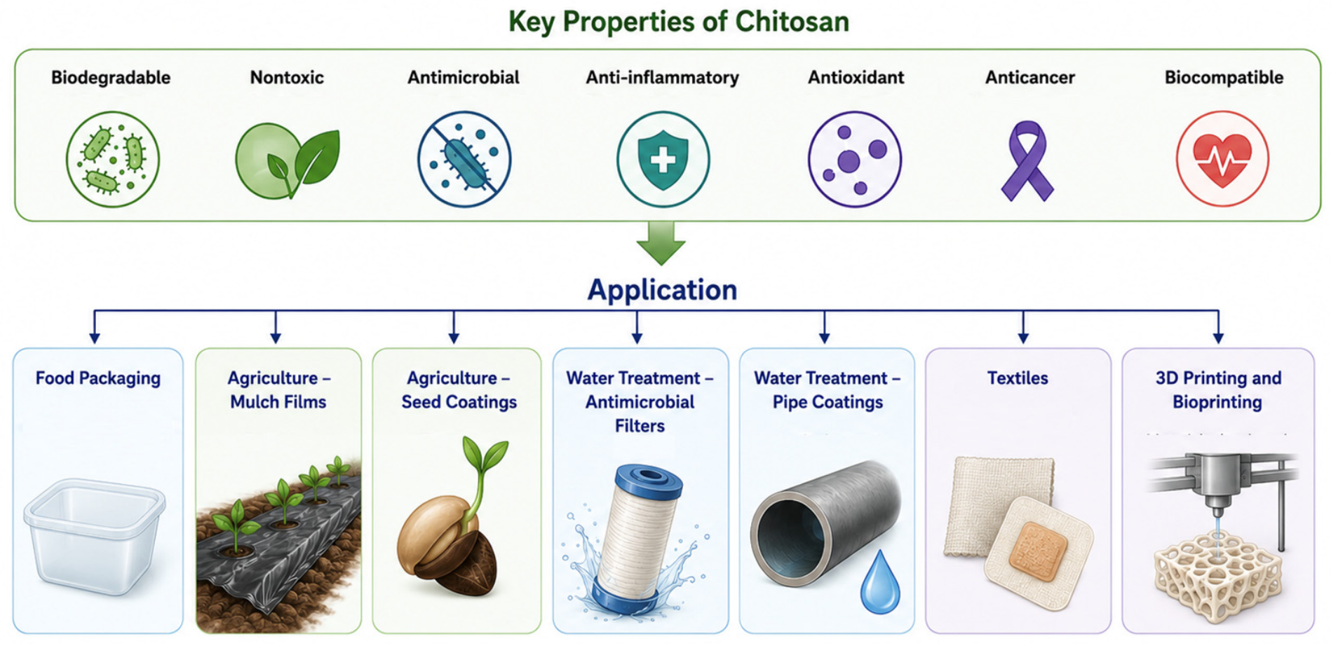 Mass-Rearing of Insects on Food Waste to Produce Chitosan—A Bio-Based ...