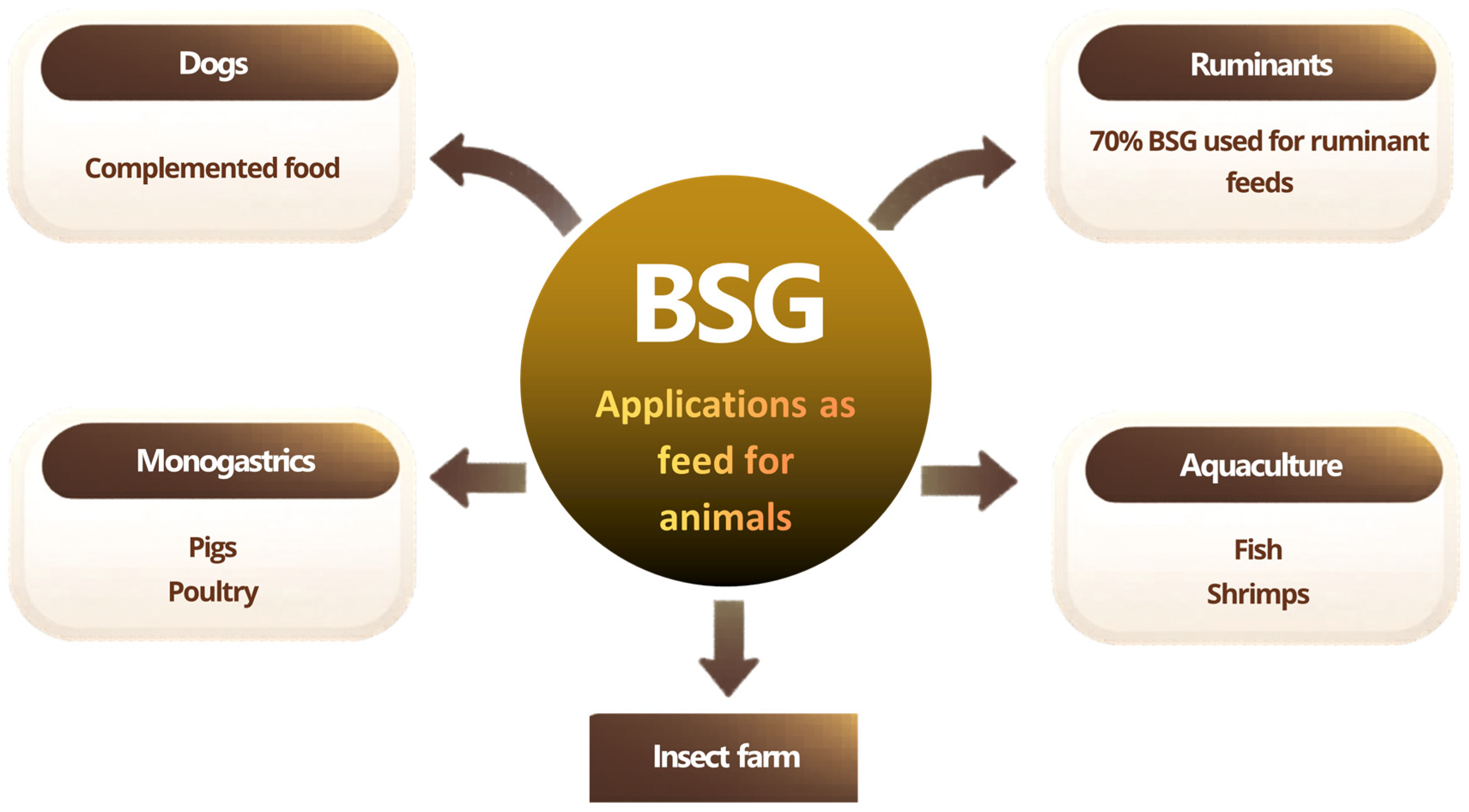 Sustainability 18 10403 g002 Sustainability 18 10403 g002
