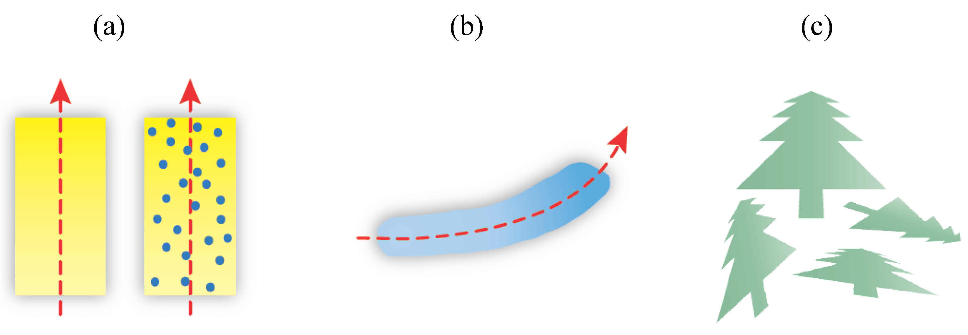 Symmetry 02 00554 g003