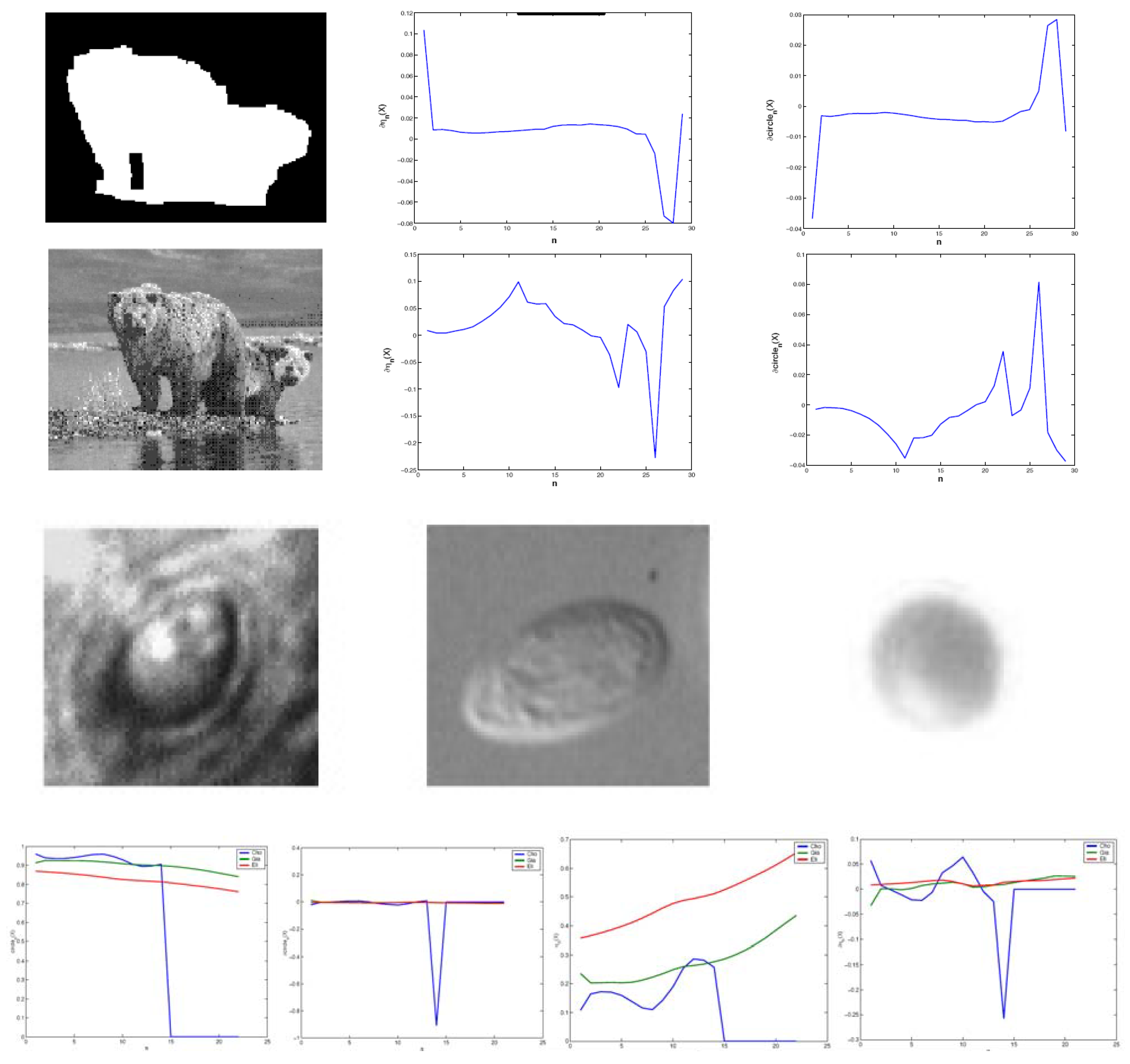 Symmetry 02 00554 g008