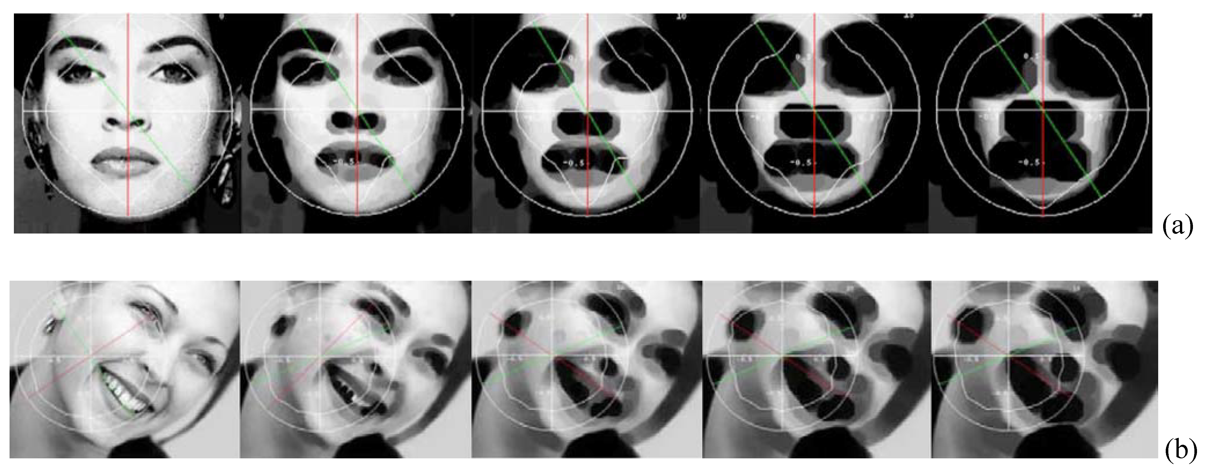 Symmetry 02 00554 g009