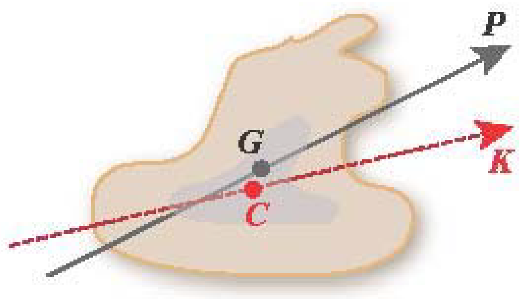 Symmetry 02 00554 g019