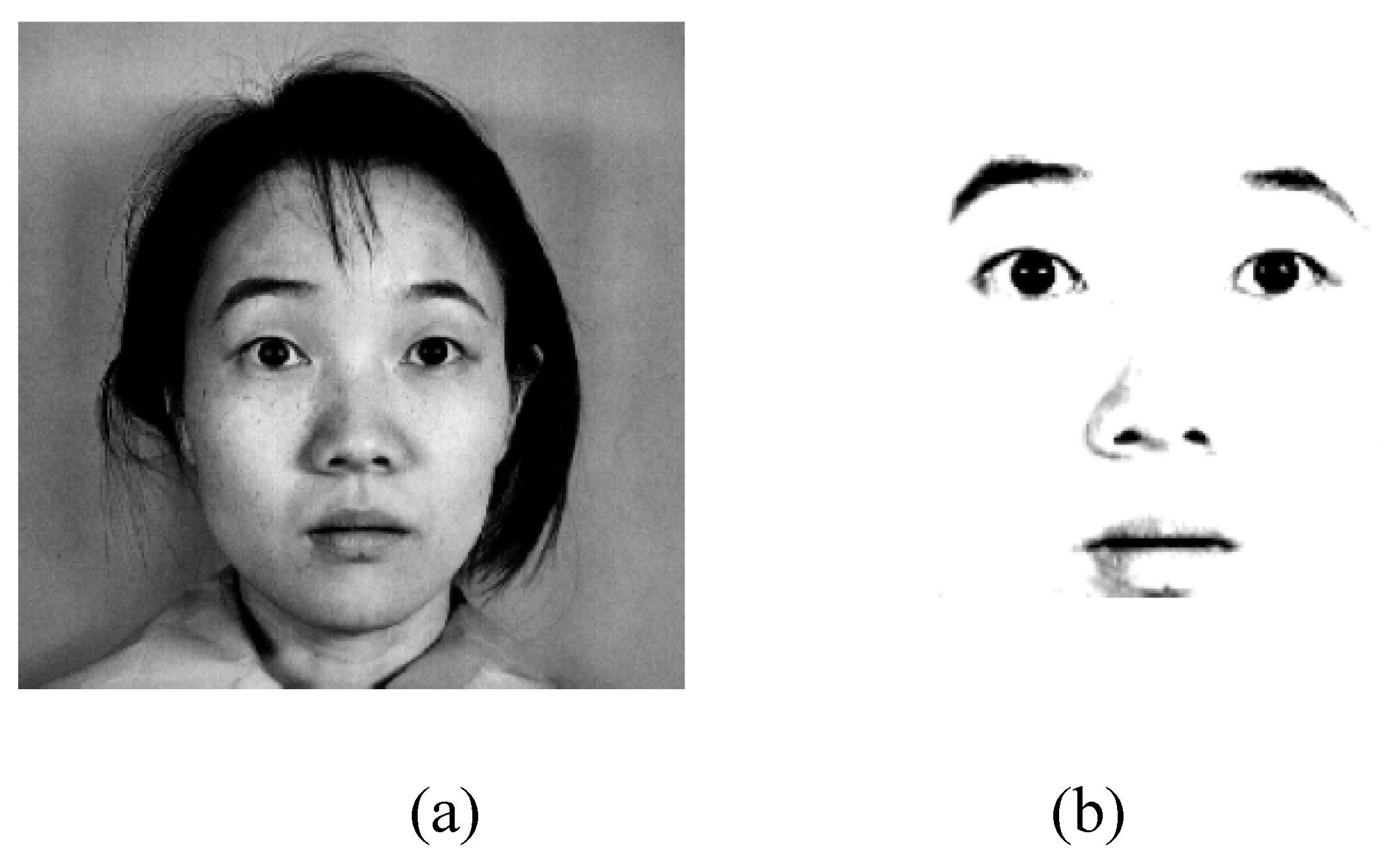 Symmetry 02 00554 g030