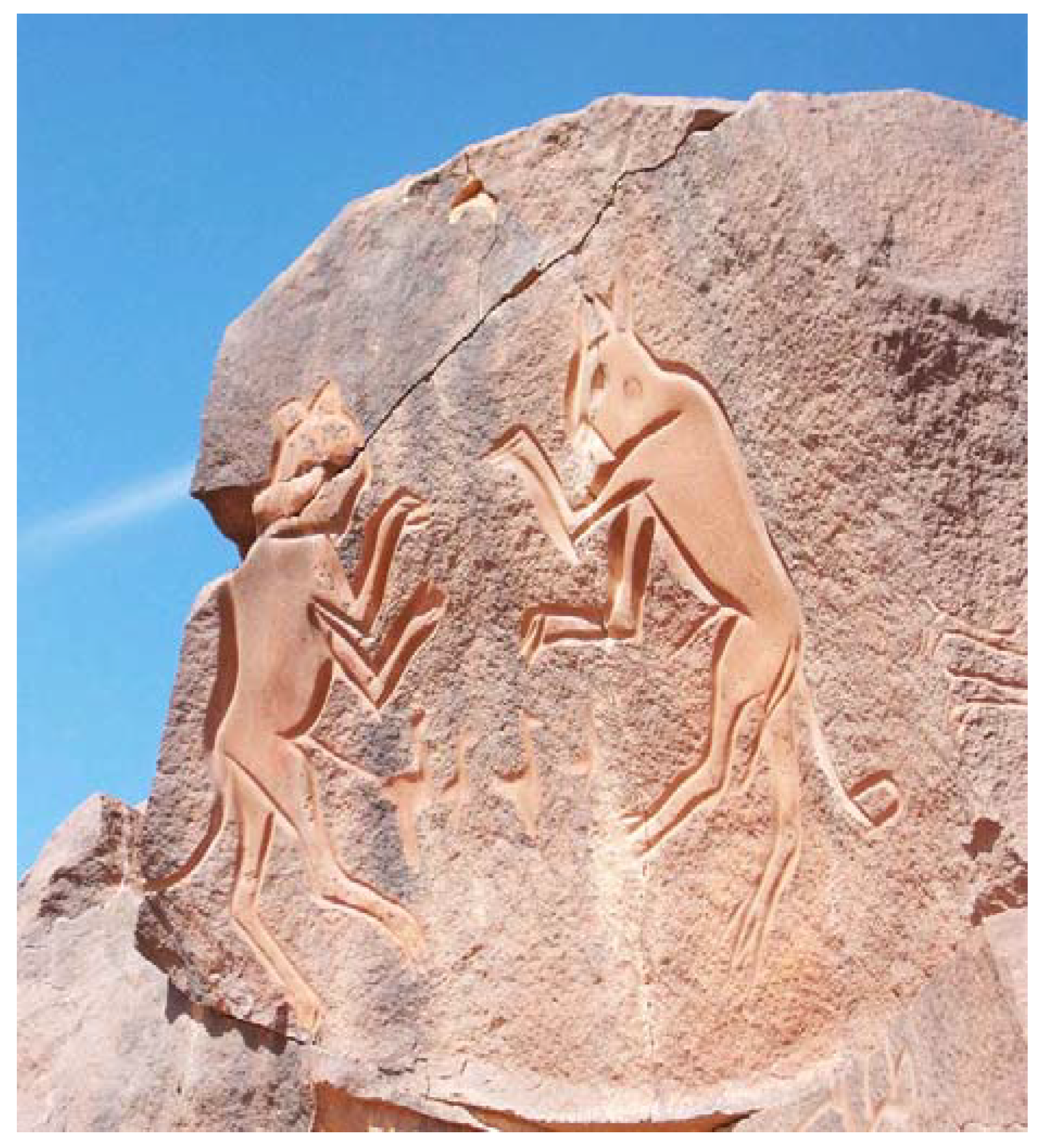 Symmetry 02 00884 g005