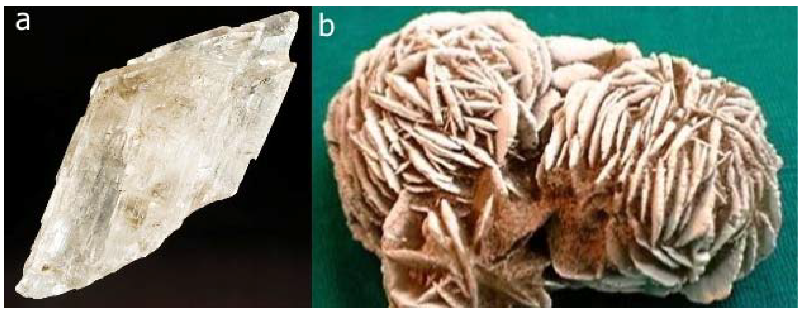 Symmetry 02 00884 g008