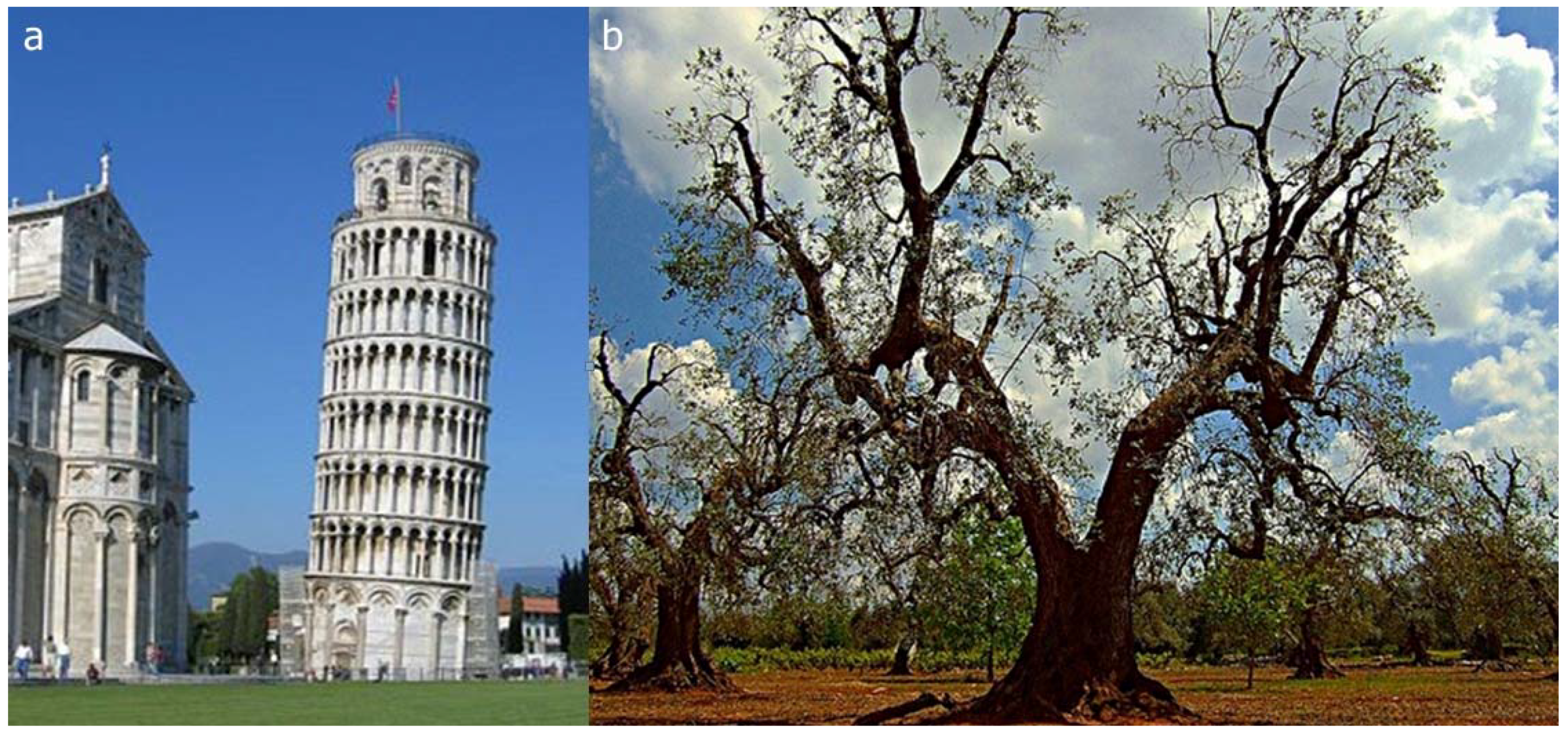 Symmetry 02 00884 g009