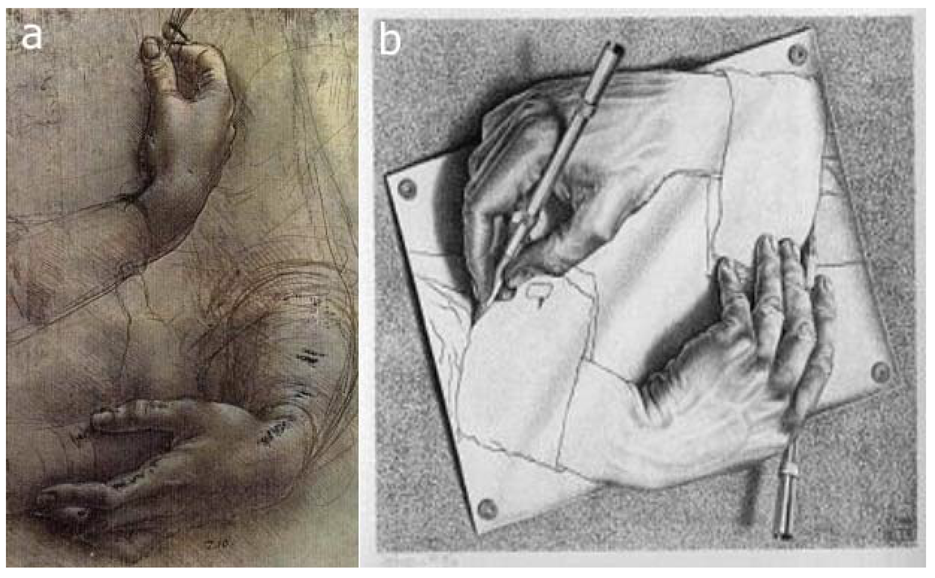 Symmetry 02 00884 g013