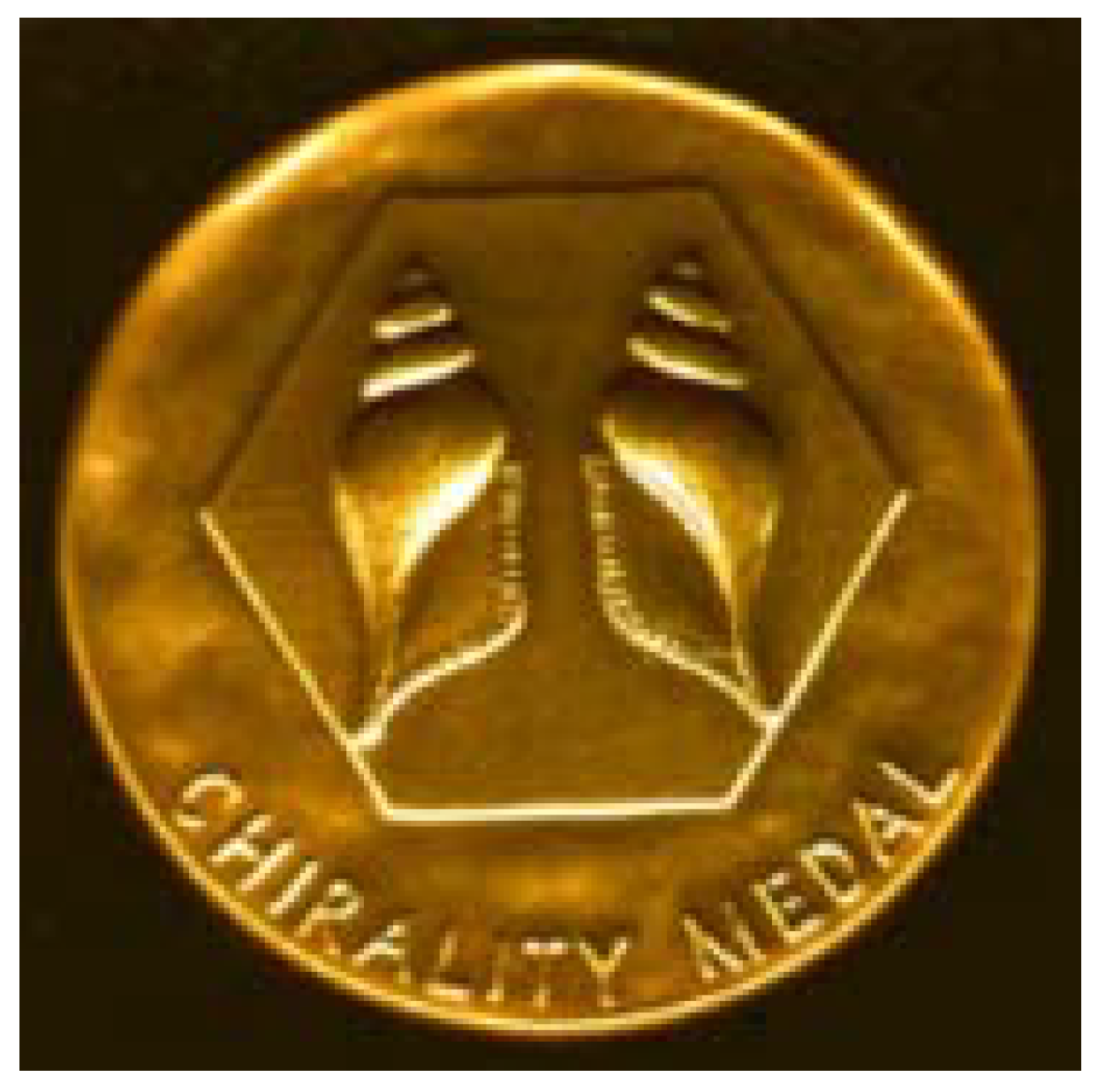 Symmetry 02 00884 g014