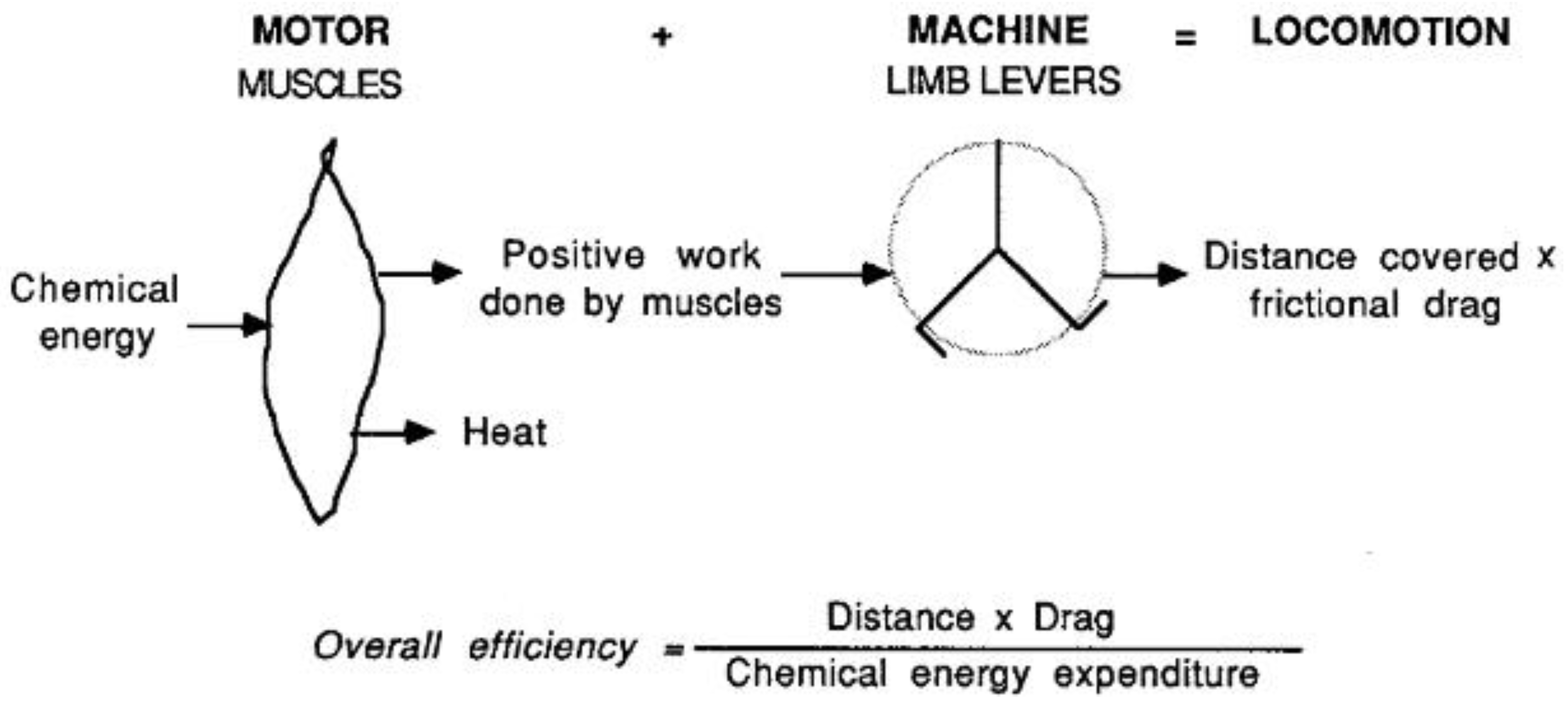 Symmetry 02 01270 g001