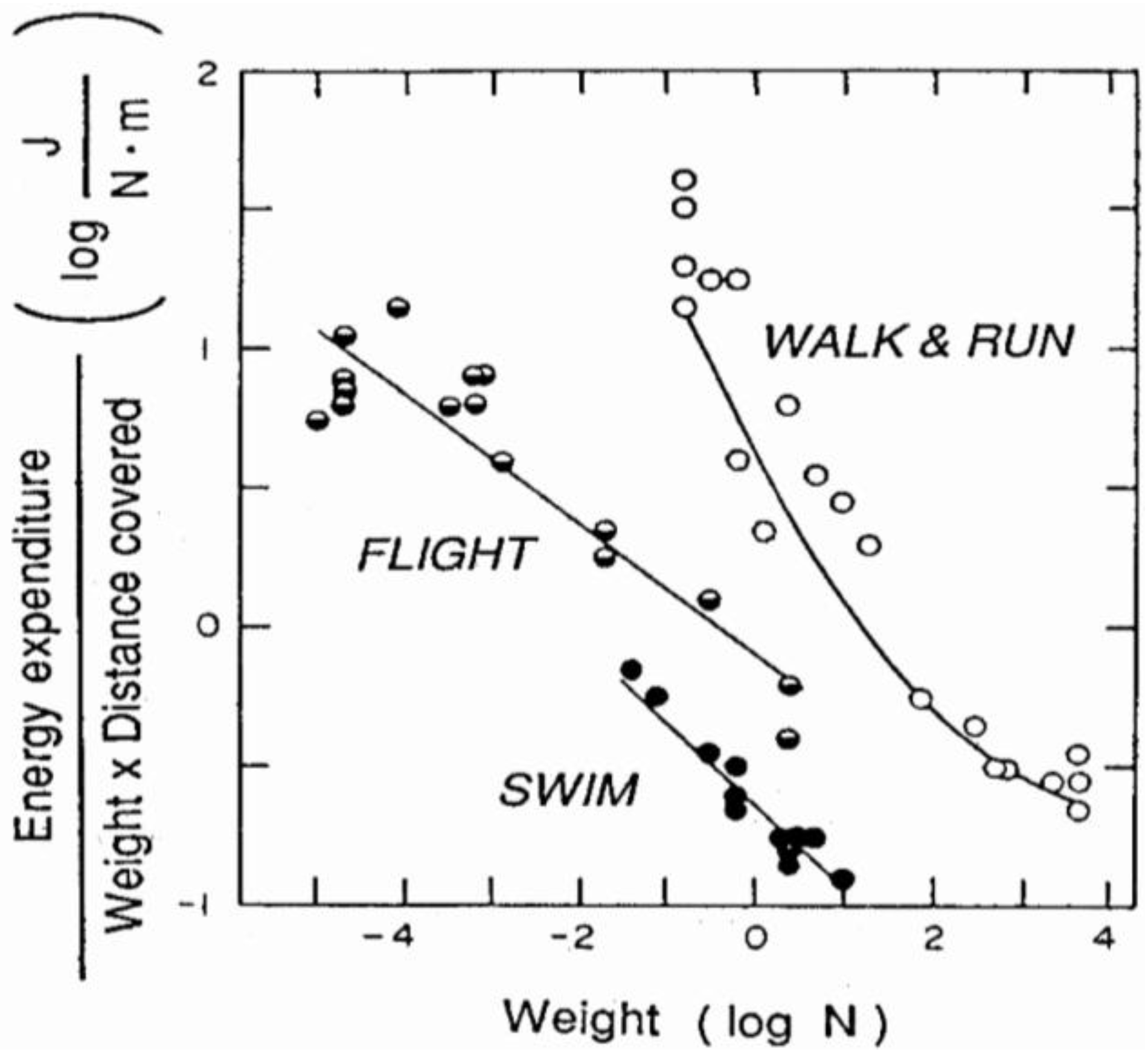 Symmetry 02 01270 g002
