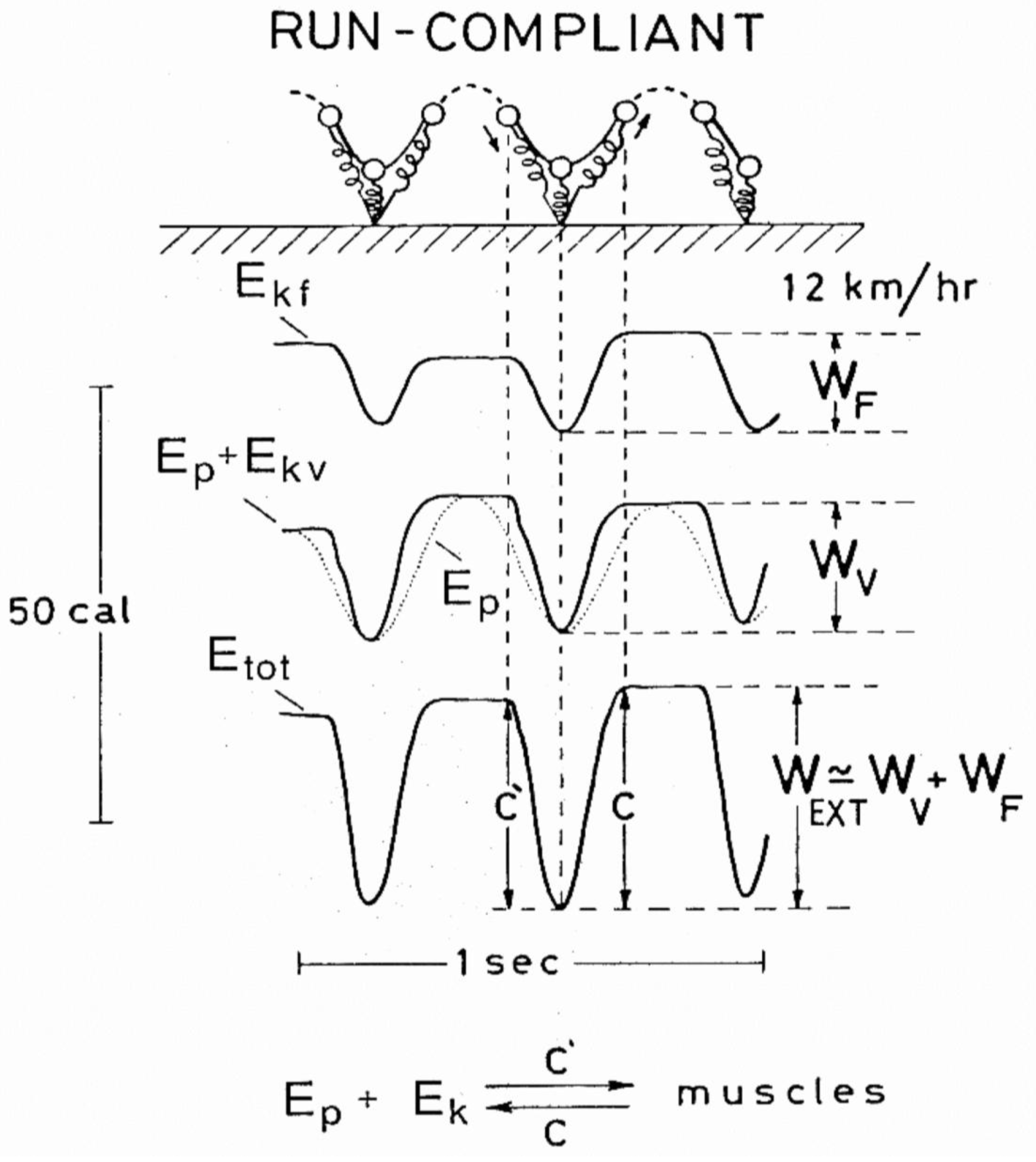 Symmetry 02 01270 g006