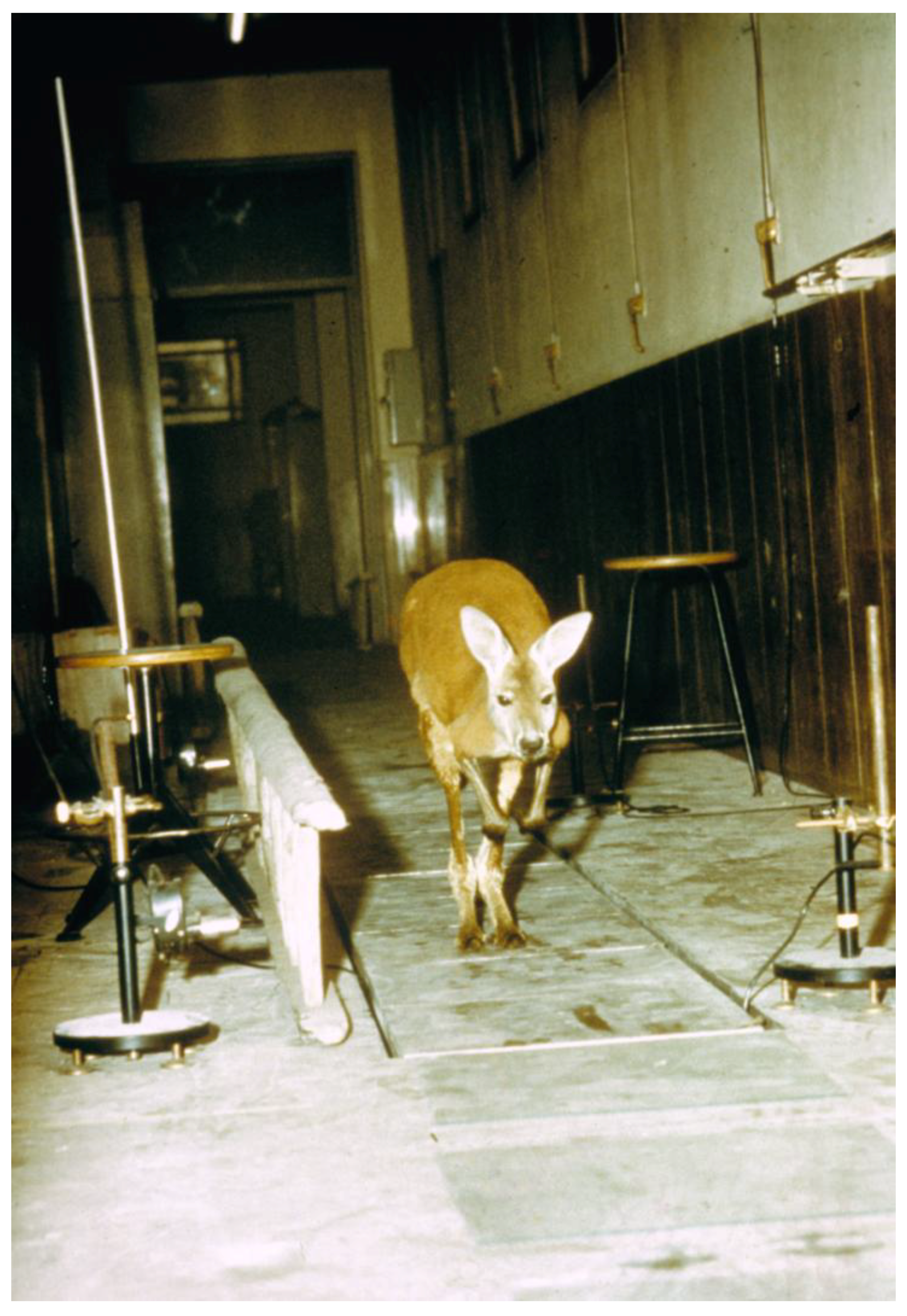 Symmetry 02 01270 g008