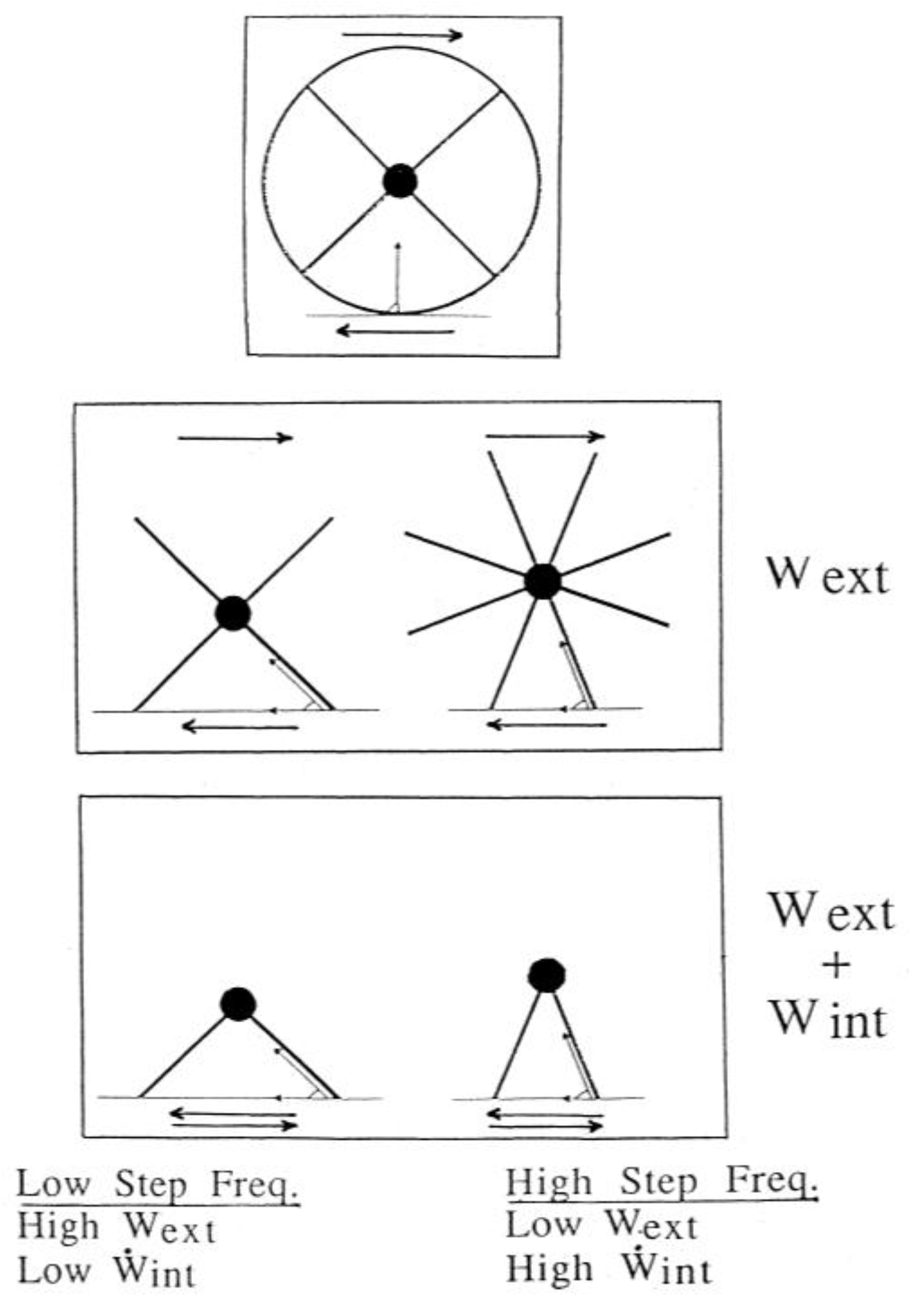 Symmetry 02 01270 g012