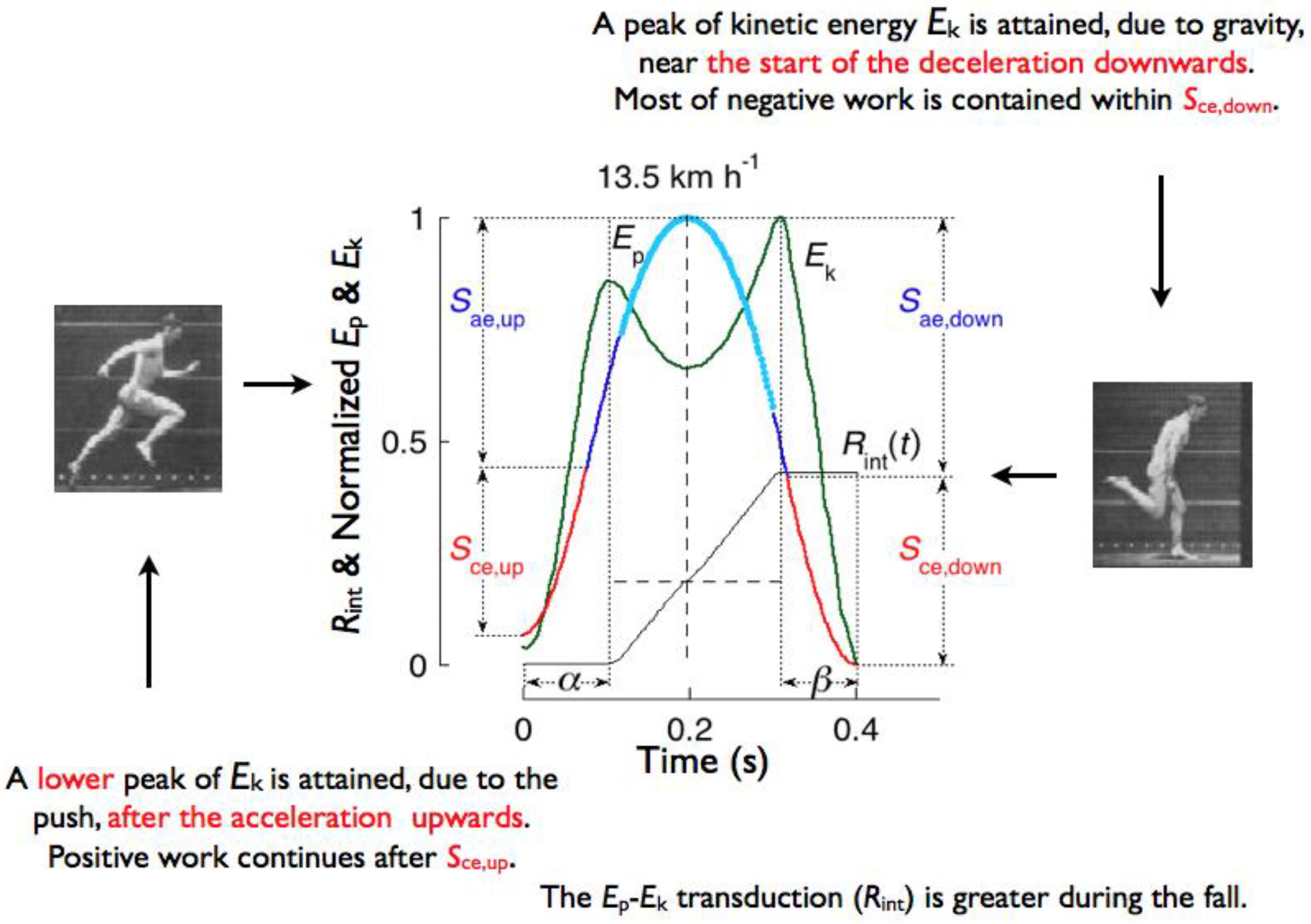 Symmetry 02 01270 g019