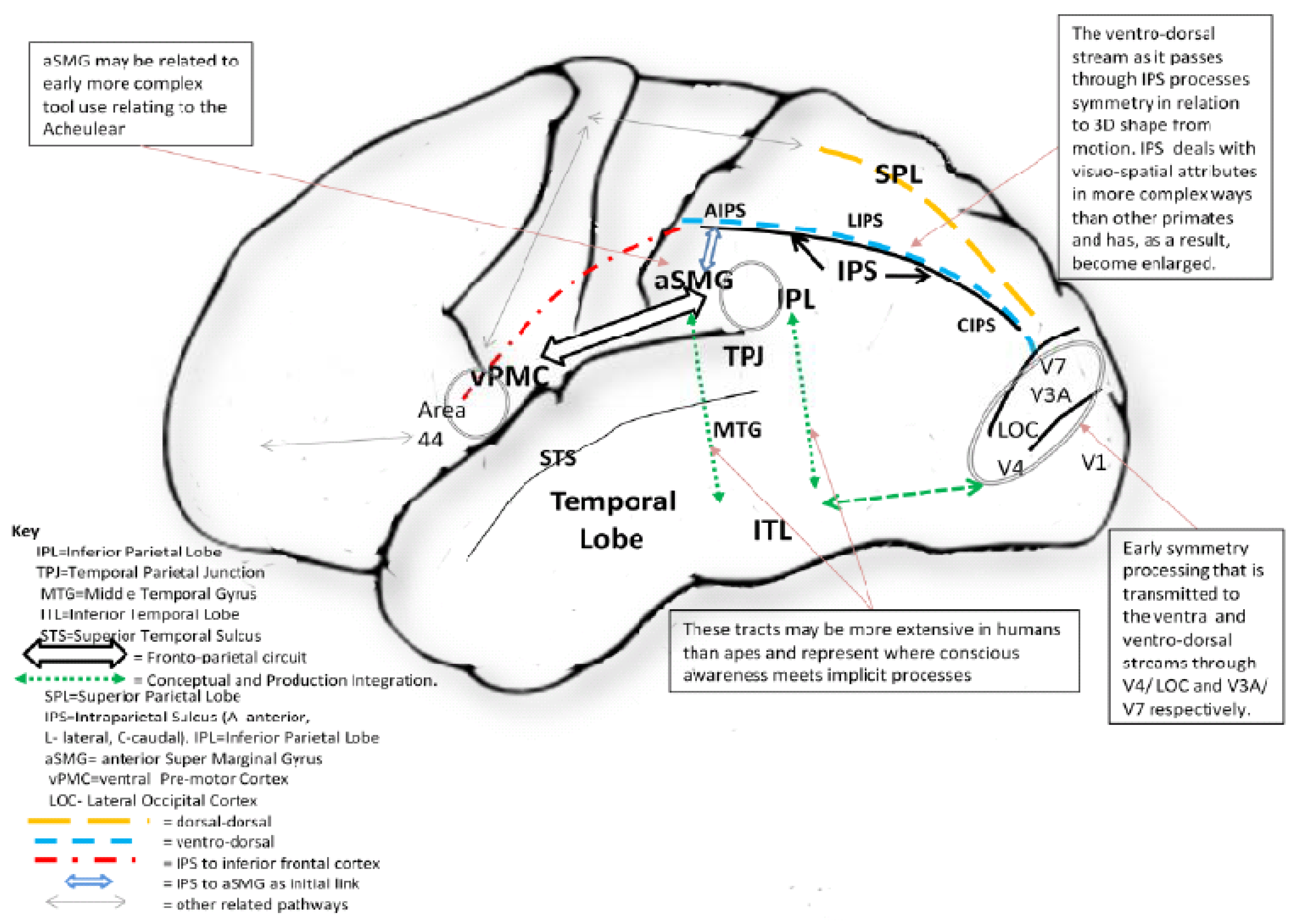 Symmetry 03 00037 g003