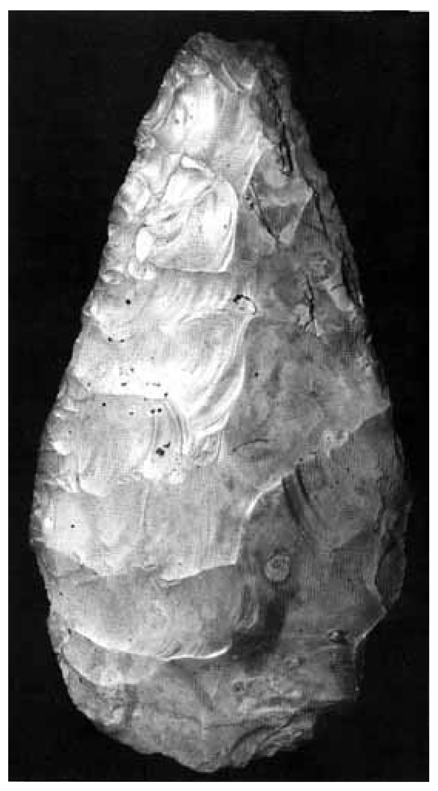 Symmetry 03 00037 g004