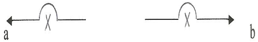 Symmetry 04 00039 g060 1024