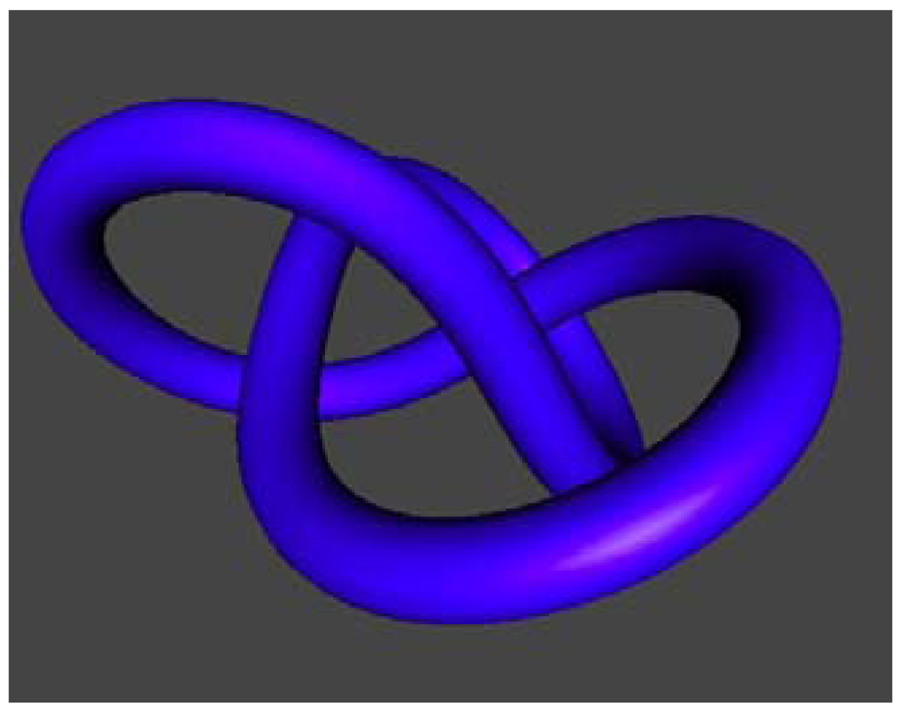 Symmetry 04 00276 g007