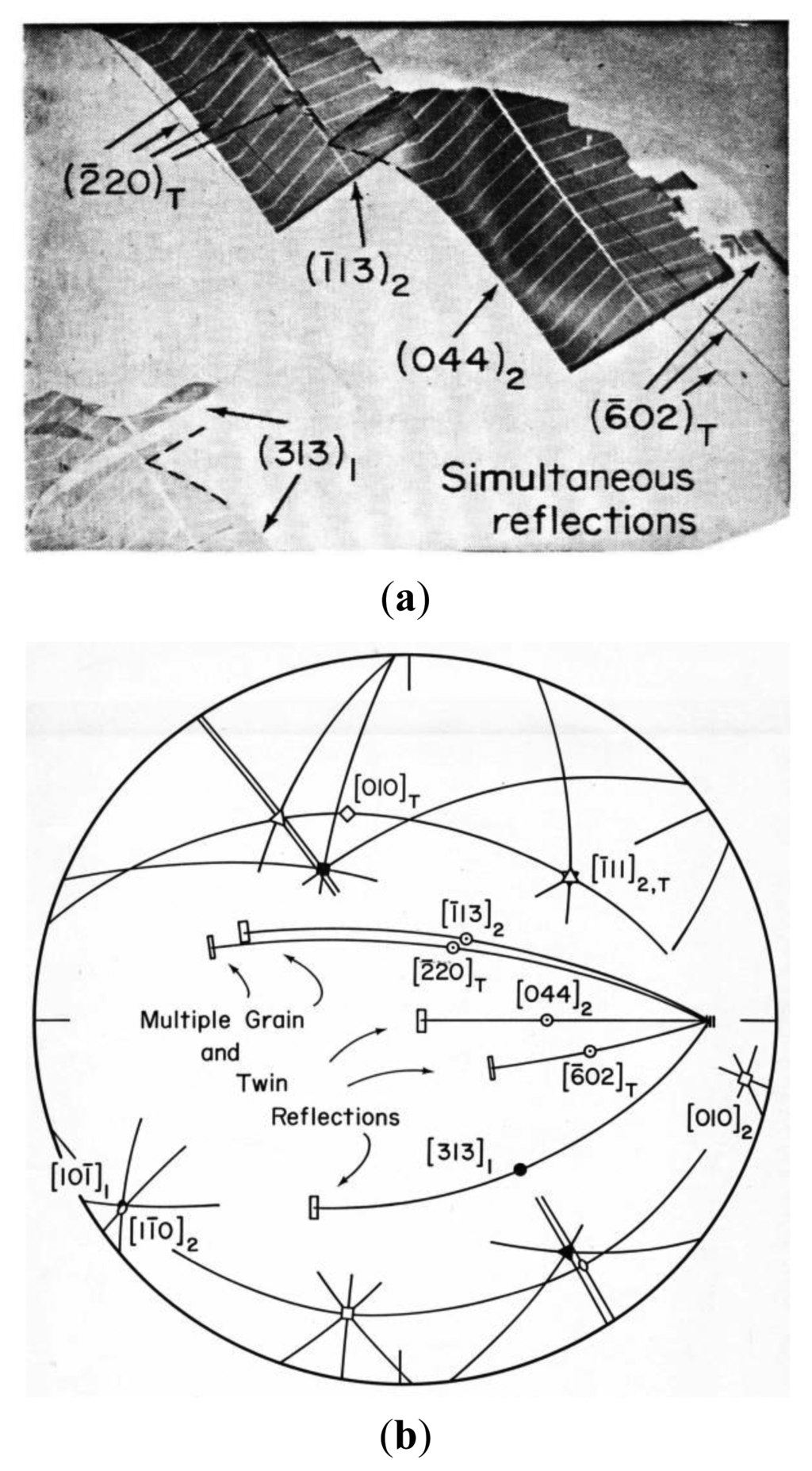 Symmetry 06 00148f13 1024
