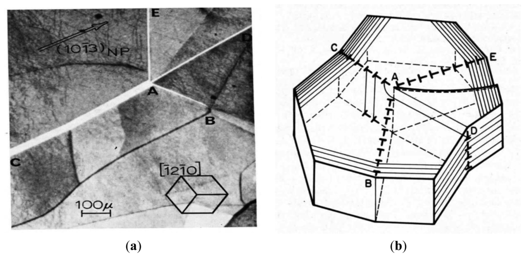Symmetry 06 00148f7 1024