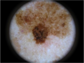 Symmetry 07 01061f15