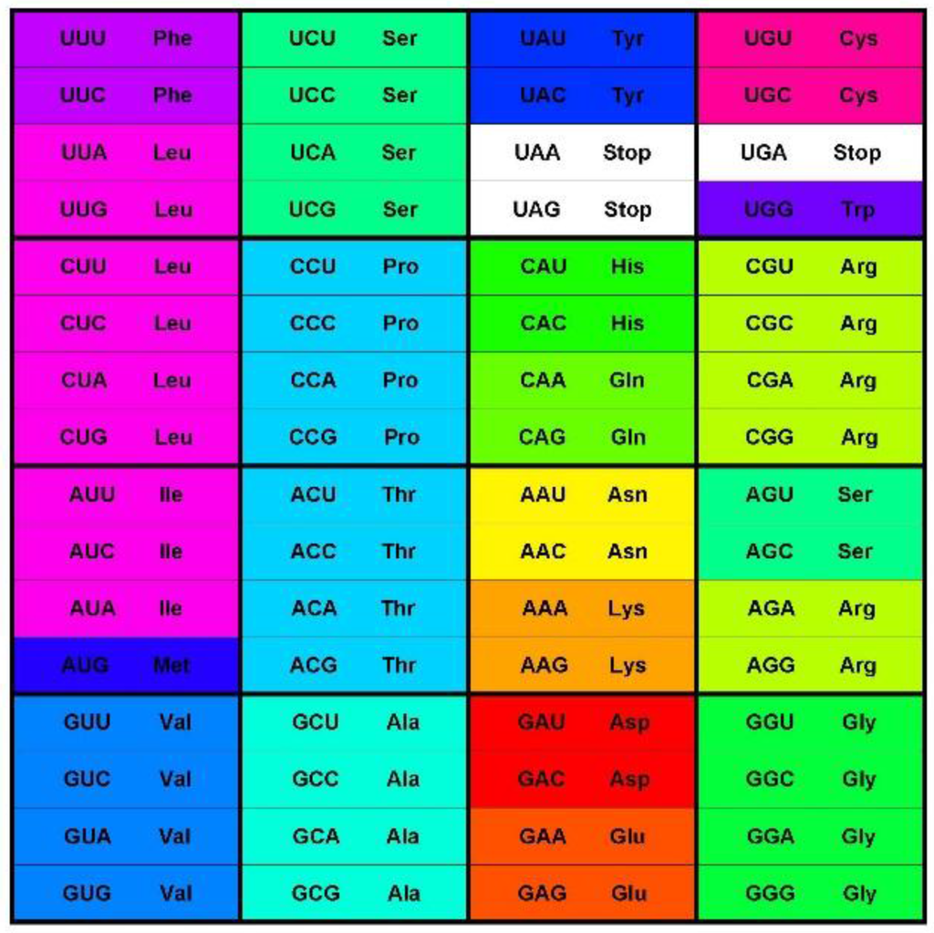 Symmetry 07 01211 g001 1024