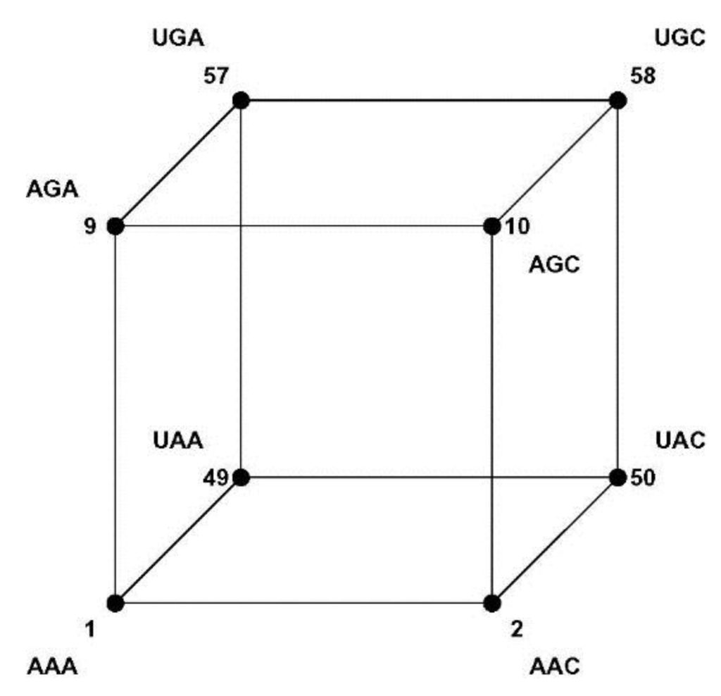 Symmetry 07 01211 g007 1024