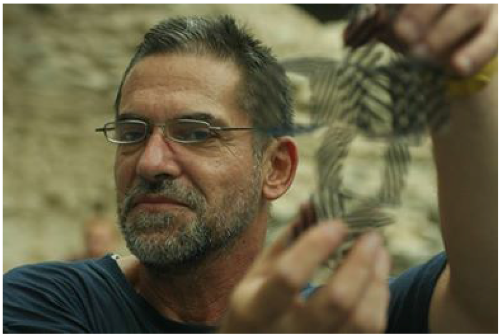 Symmetry 07 01261 g007 1024