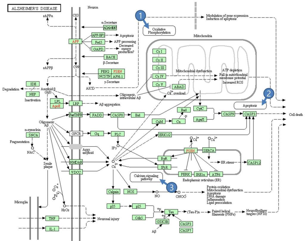 Symmetry 07 01275 g003 1024