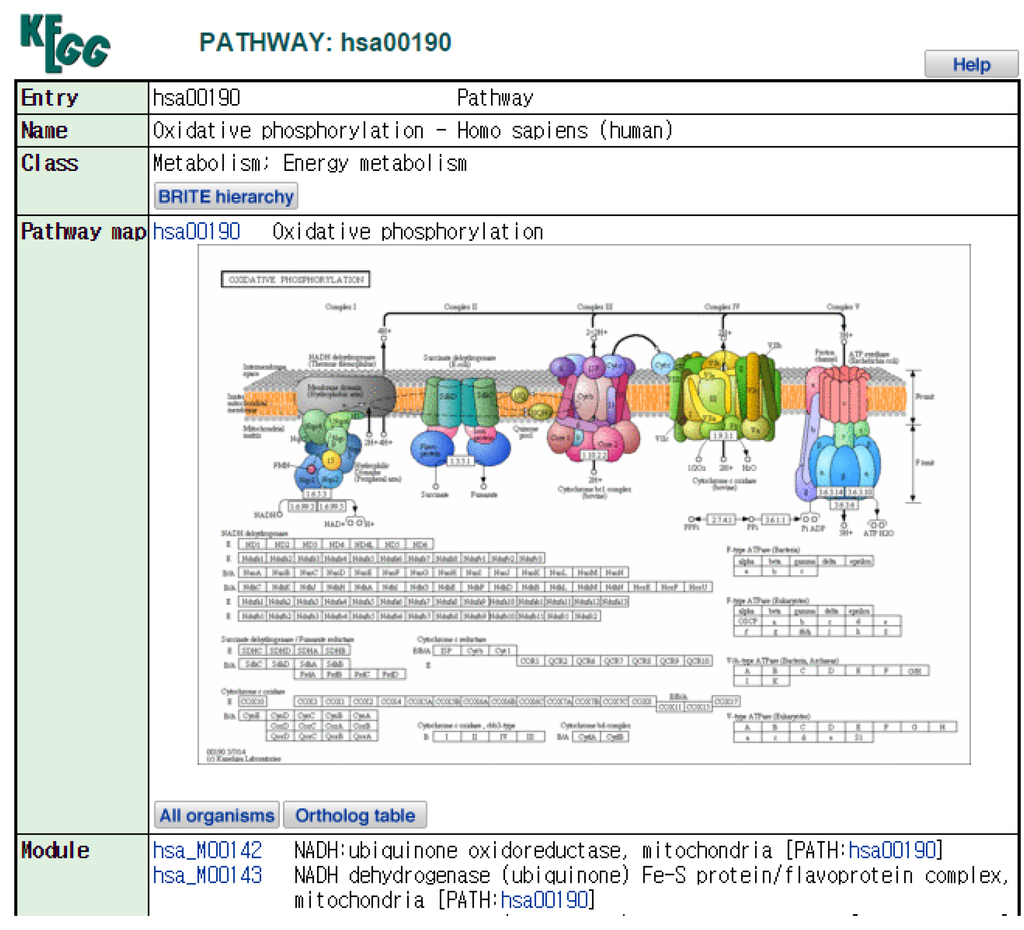 Symmetry 07 01275 g006 1024