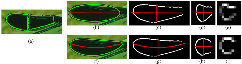 Symmetry 07 01333 g003 1024