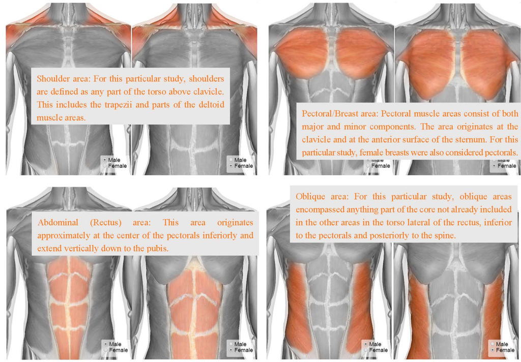 Symmetry 07 01436 g005 1024