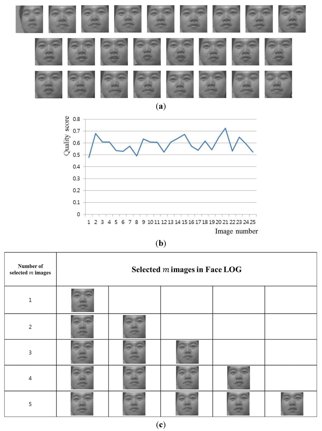 Symmetry 07 01475 g011 1024