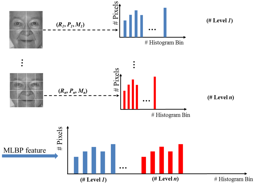 Symmetry 07 01882 g008 1024