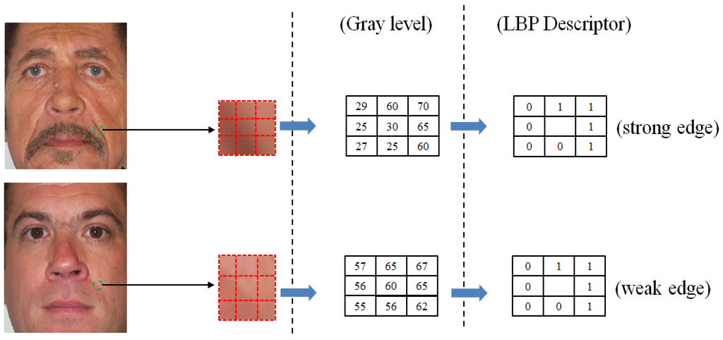 Symmetry 07 01882 g009 1024