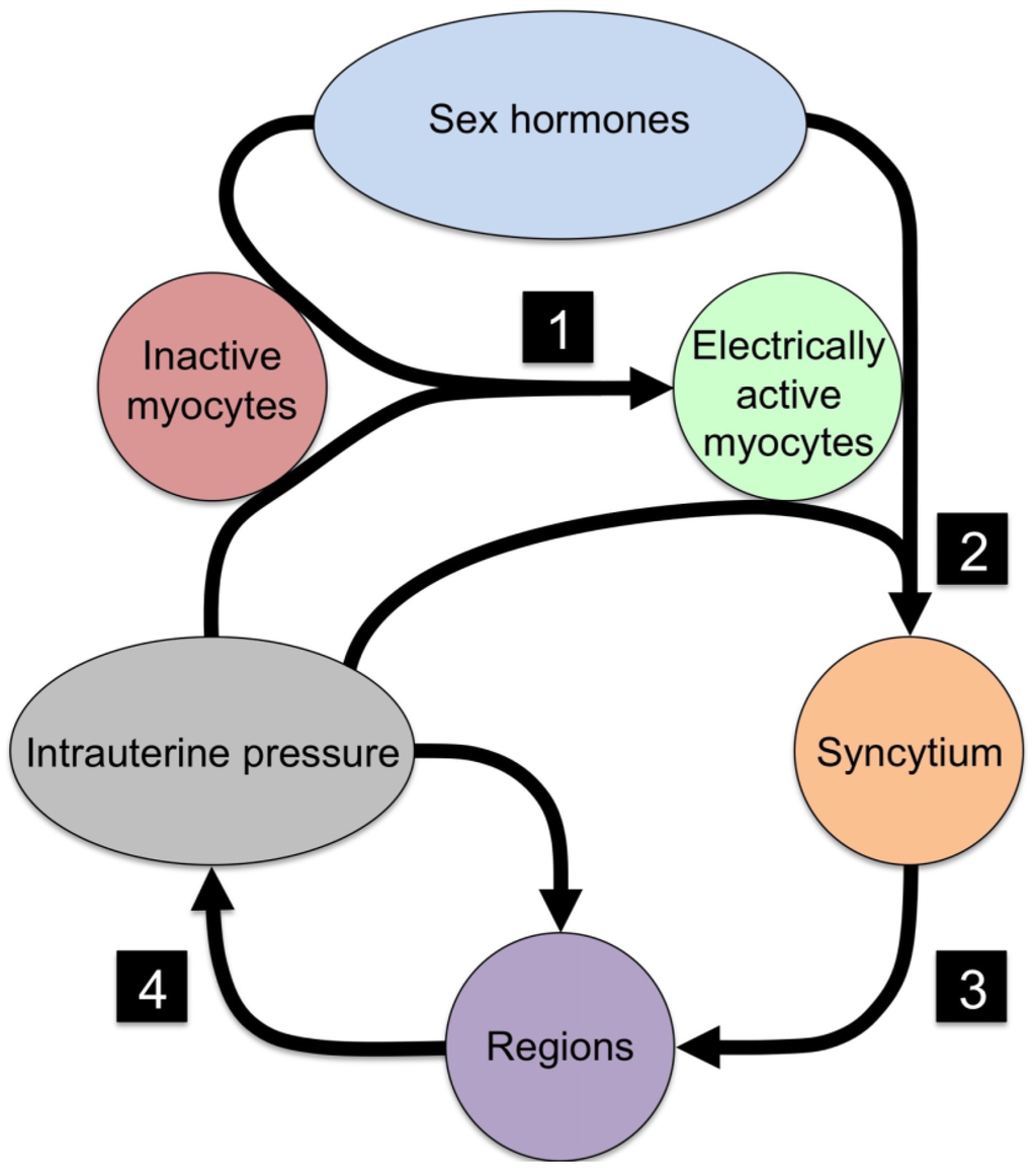 Symmetry 07 01981 g001 1024