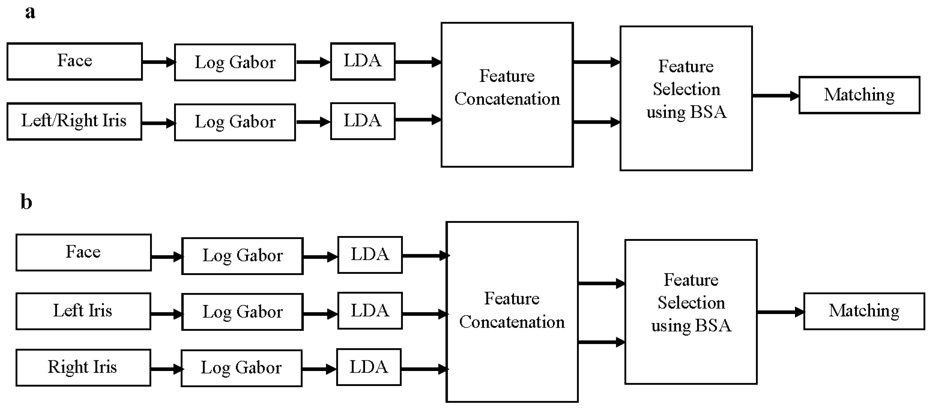 Symmetry 08 00048 g001