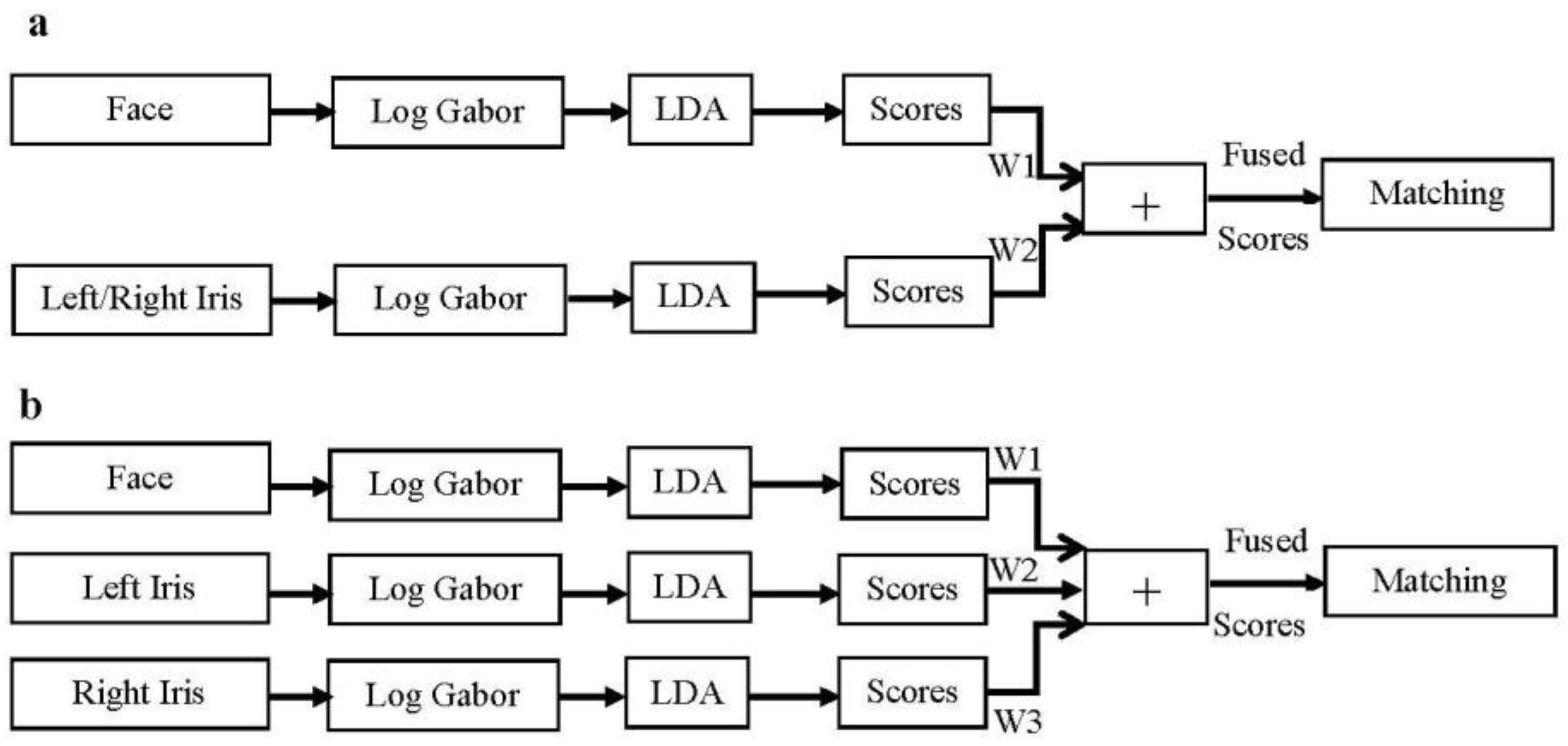 Symmetry 08 00048 g002