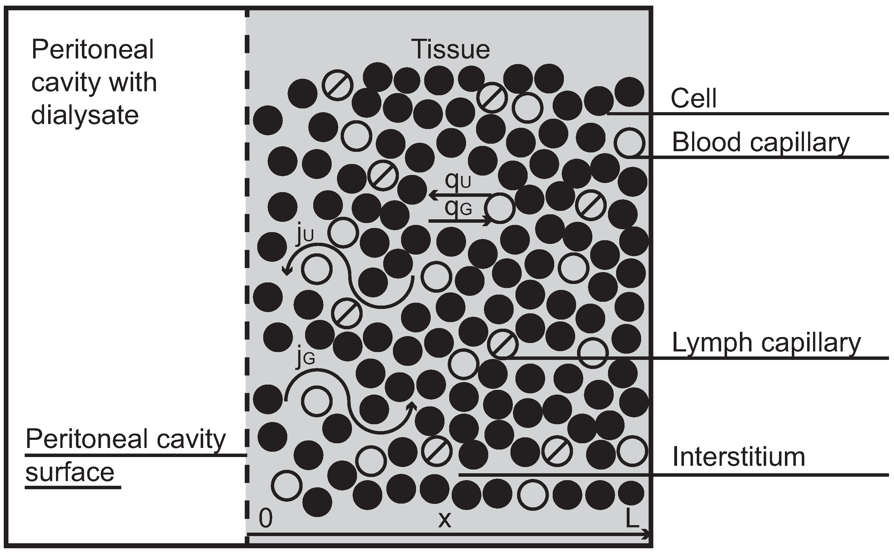 Symmetry 08 00050 g001