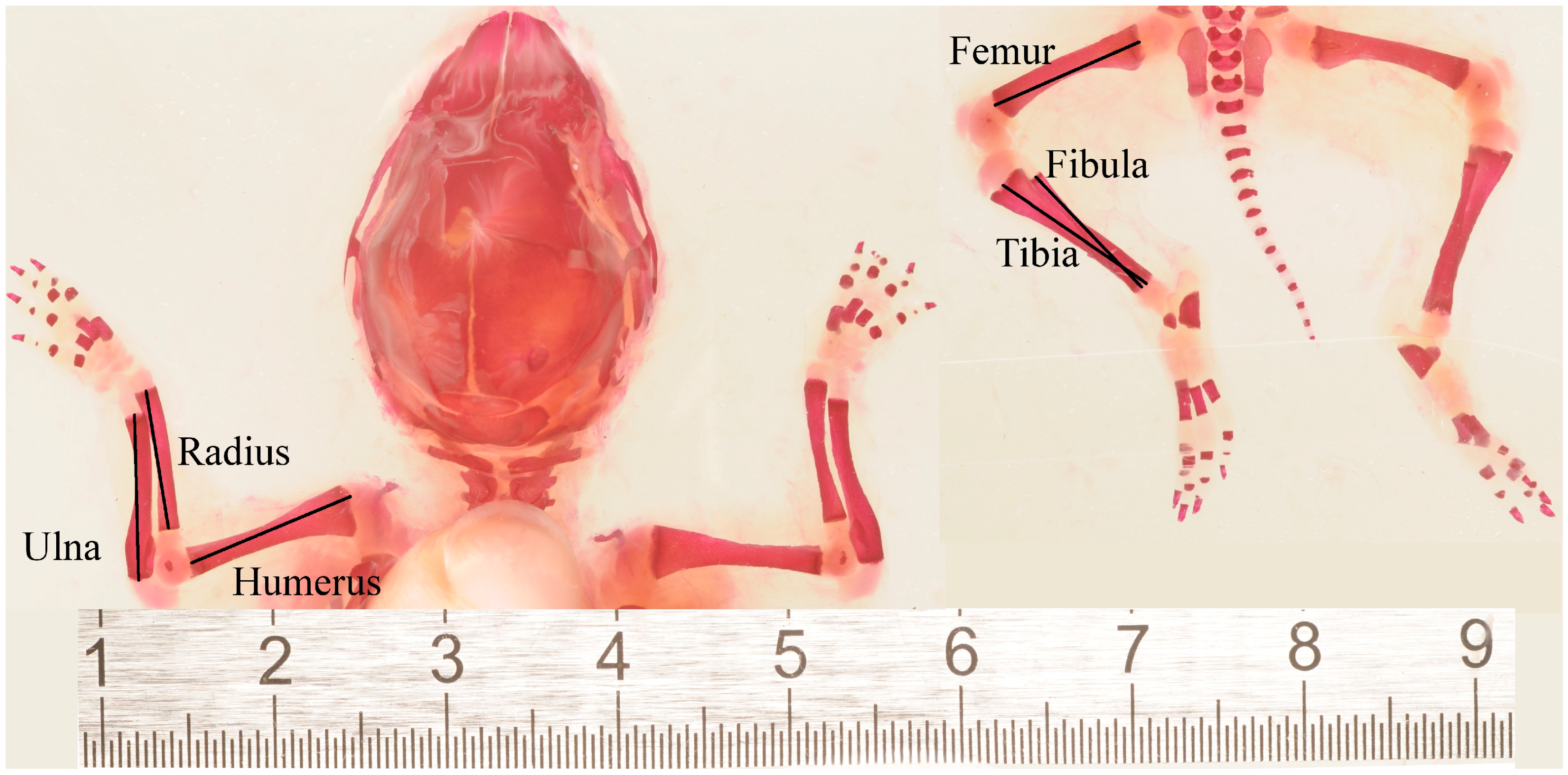 Symmetry 08 00101 g001