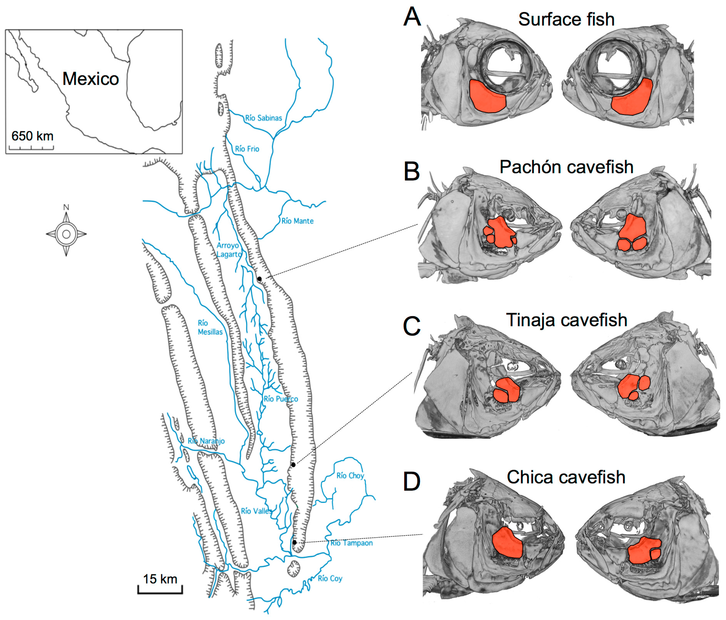 Symmetry 08 00118 g001