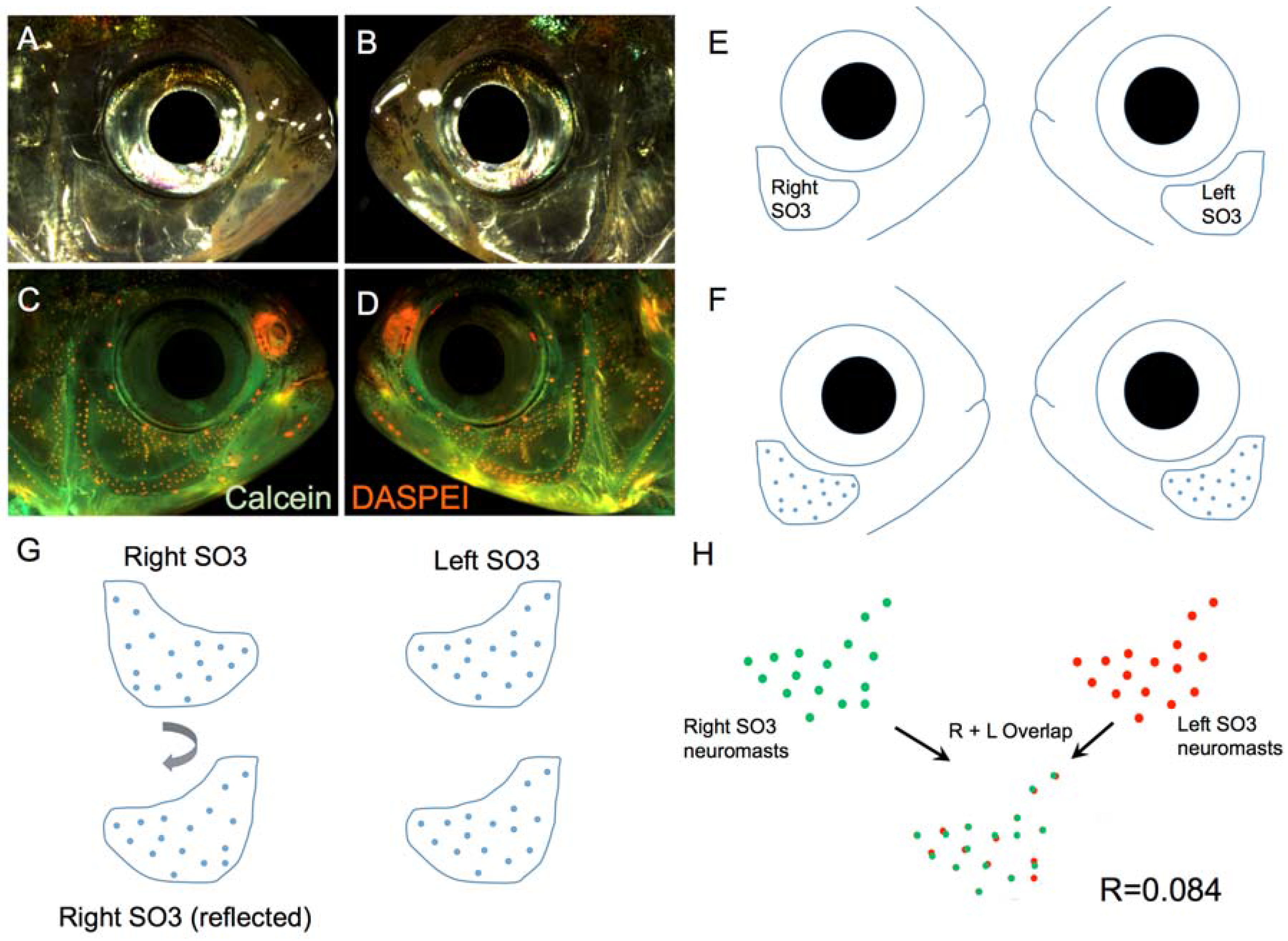 Symmetry 08 00118 g002