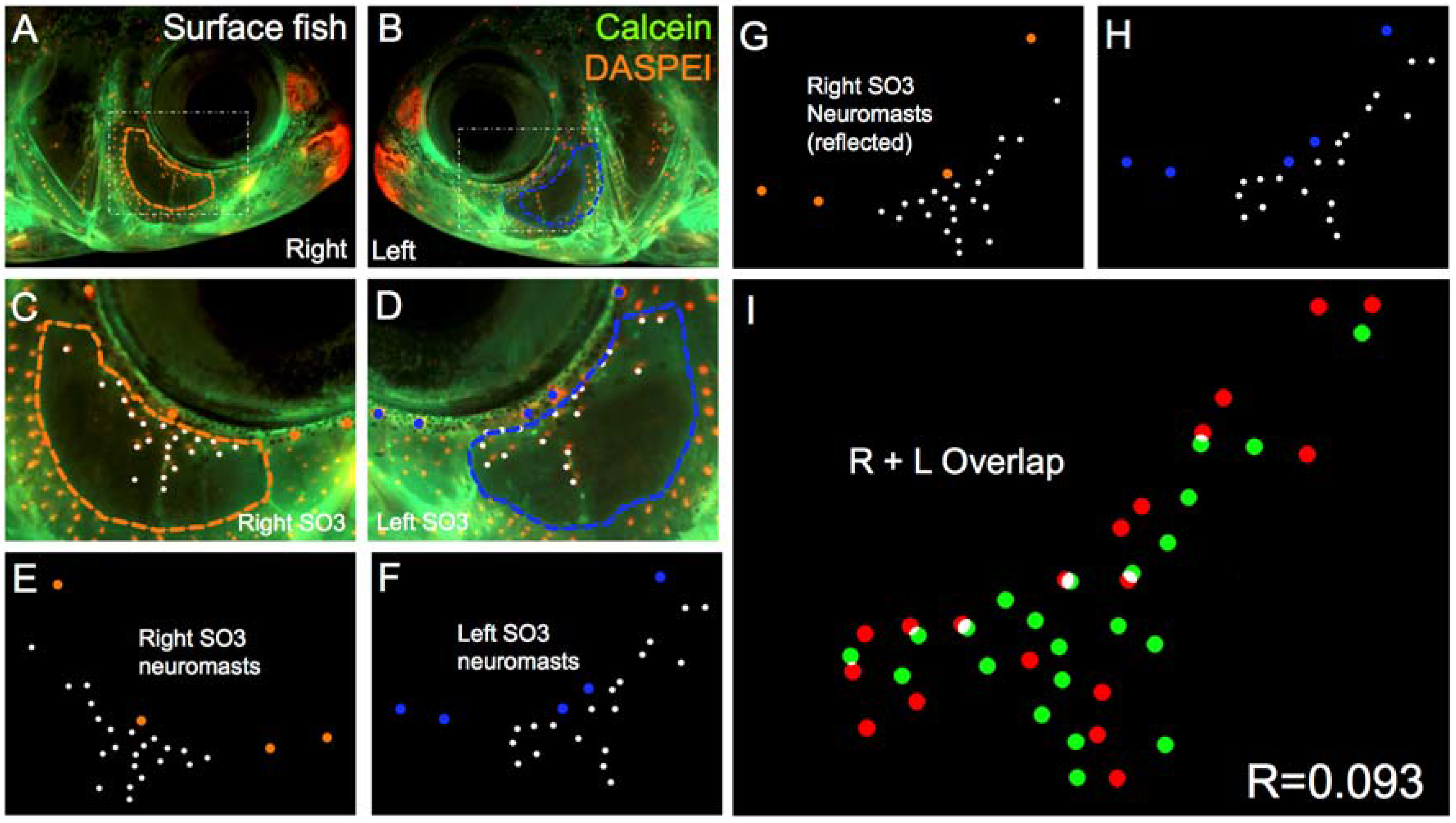 Symmetry 08 00118 g003