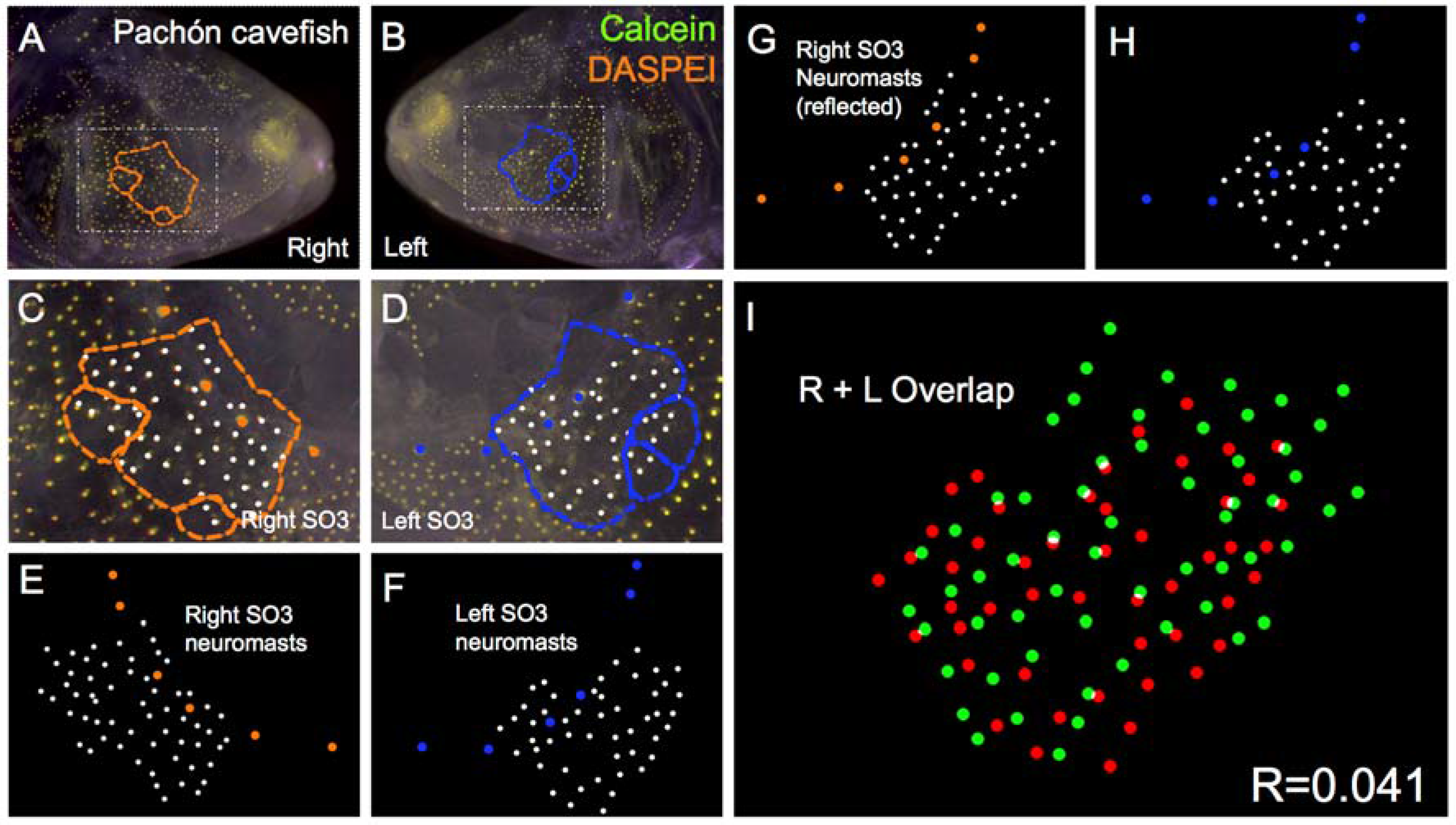 Symmetry 08 00118 g004