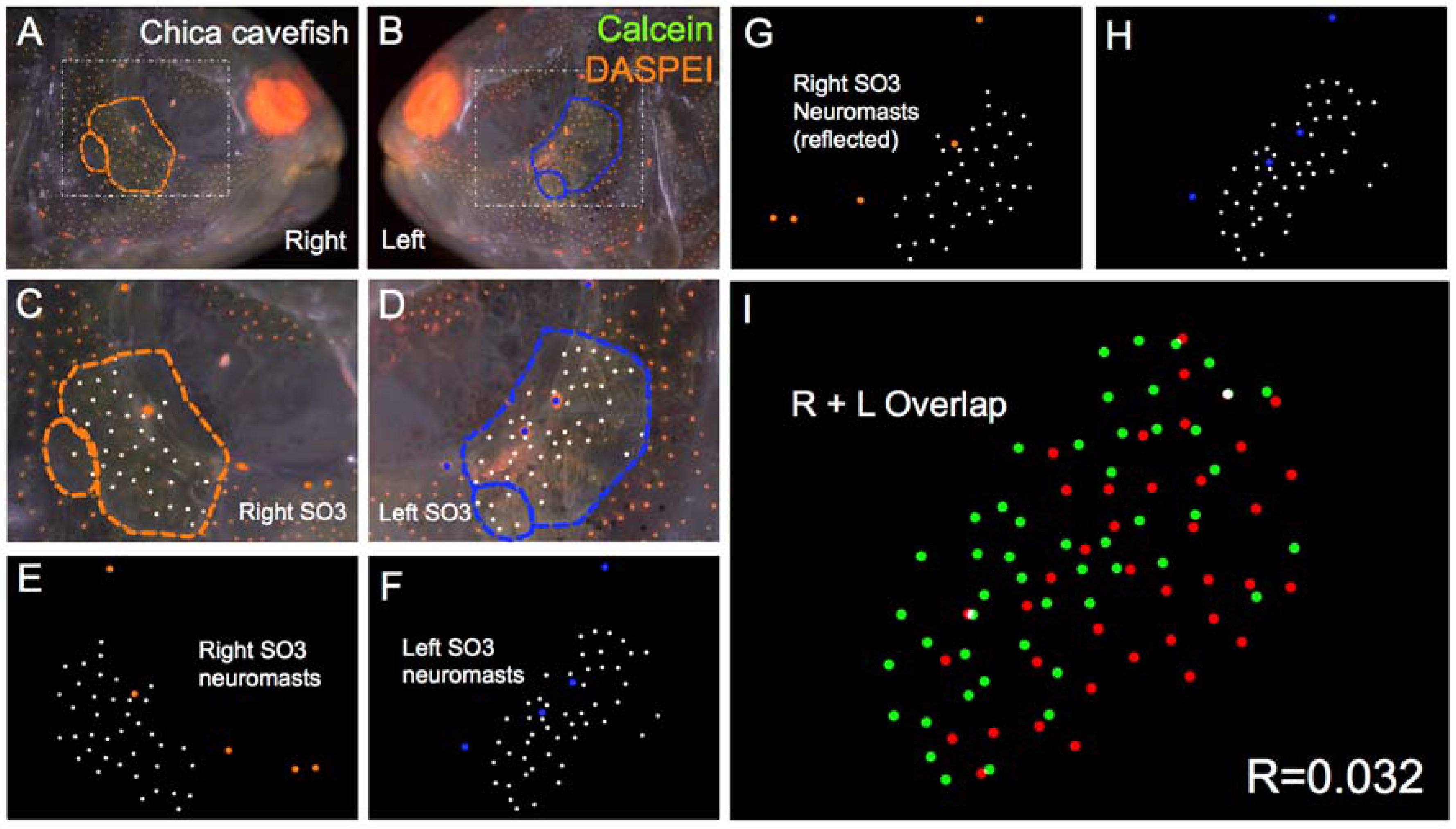 Symmetry 08 00118 g006