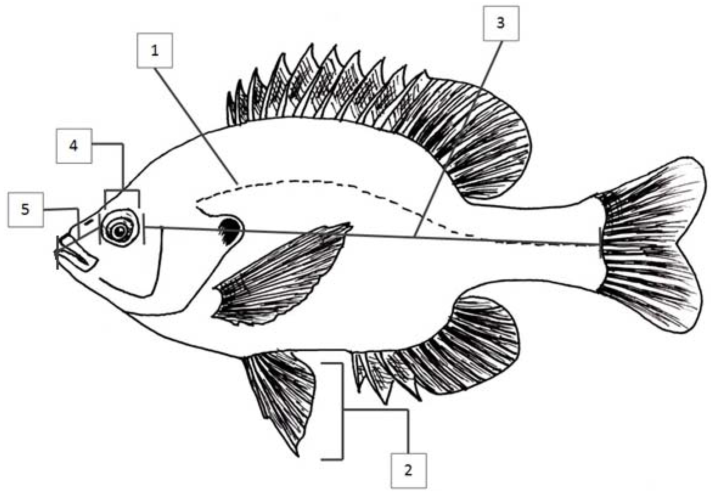 Symmetry 08 00124 g004